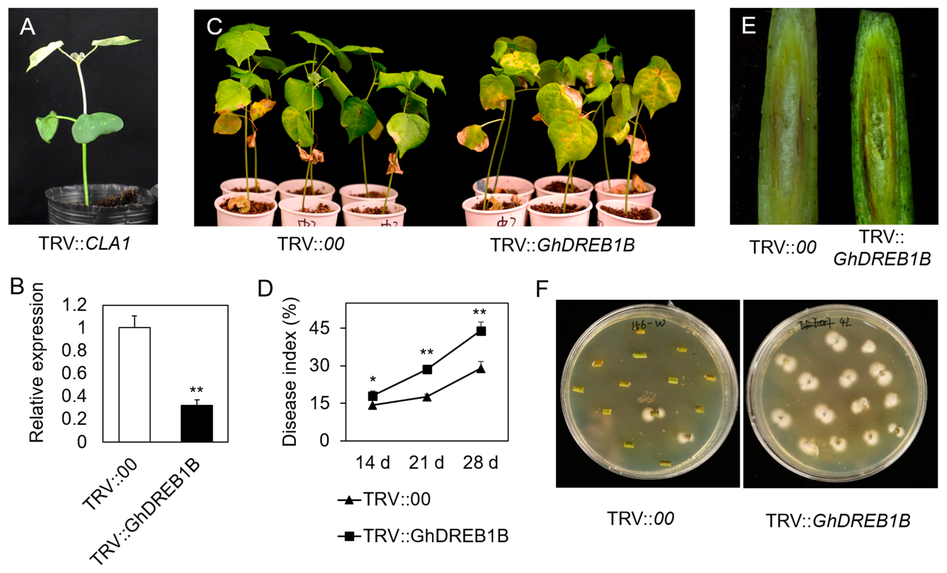 Biomolecules 13 01348 g009