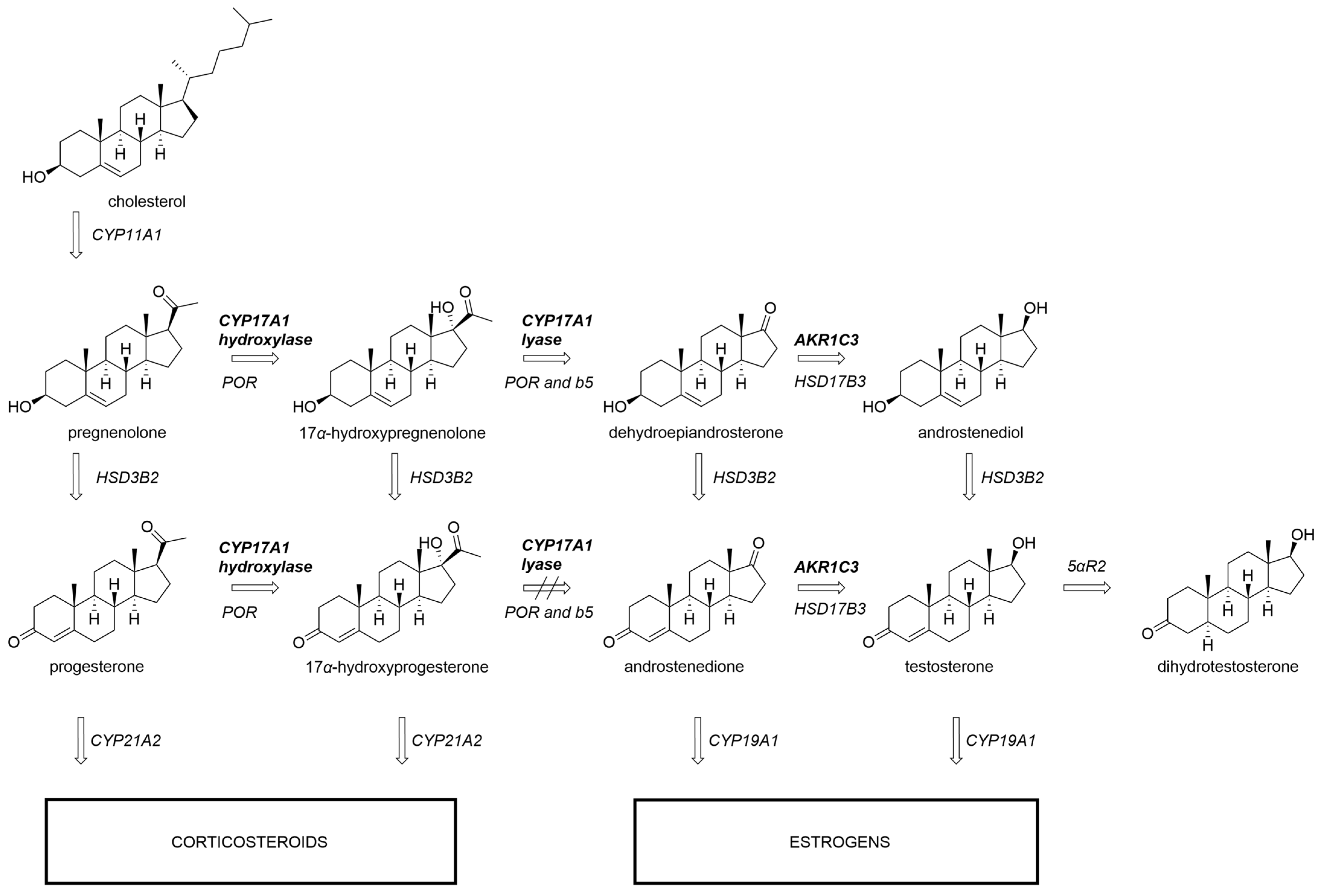 Biomolecules 13 01349 g001