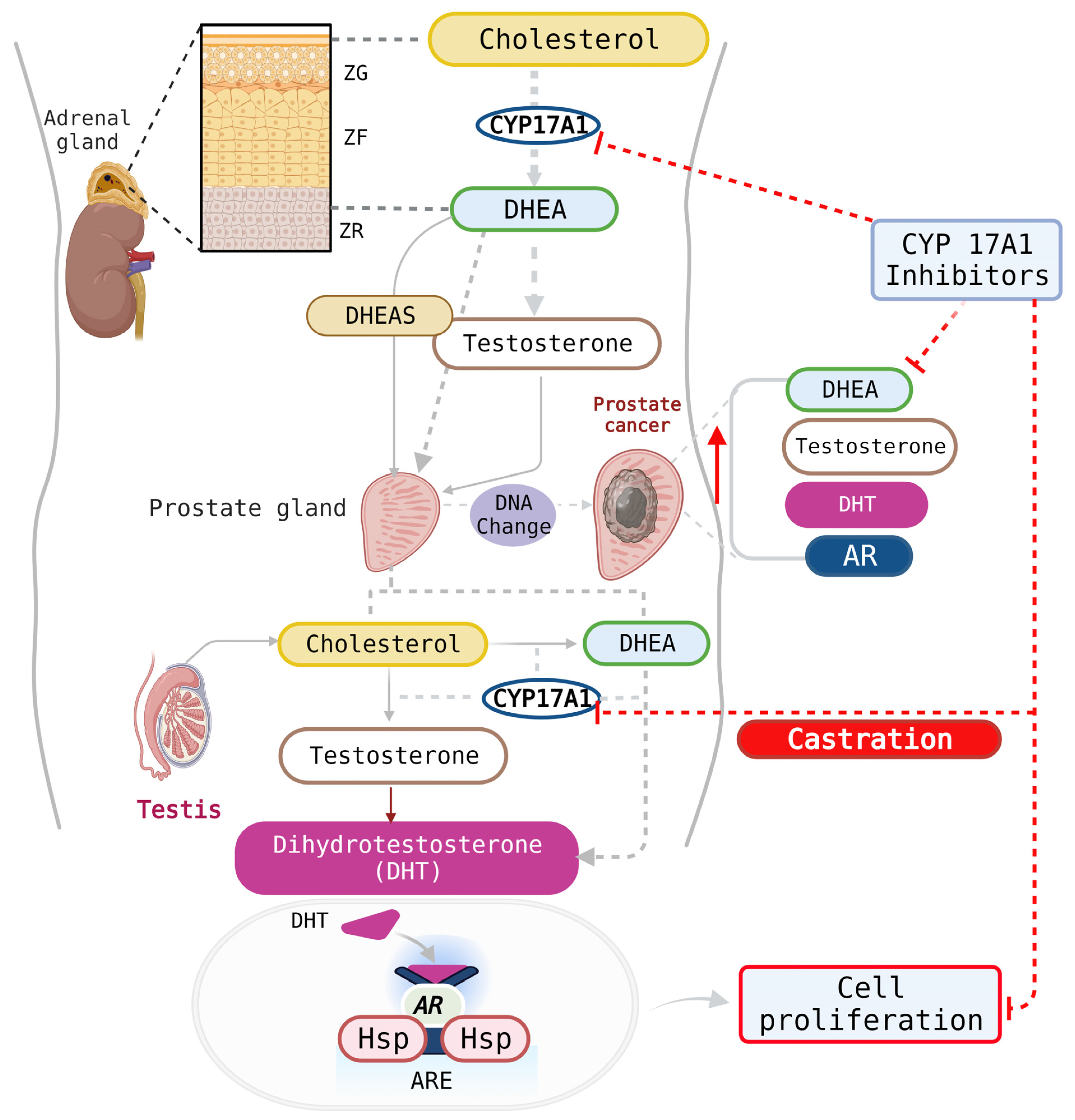 Biomolecules 13 01349 g002