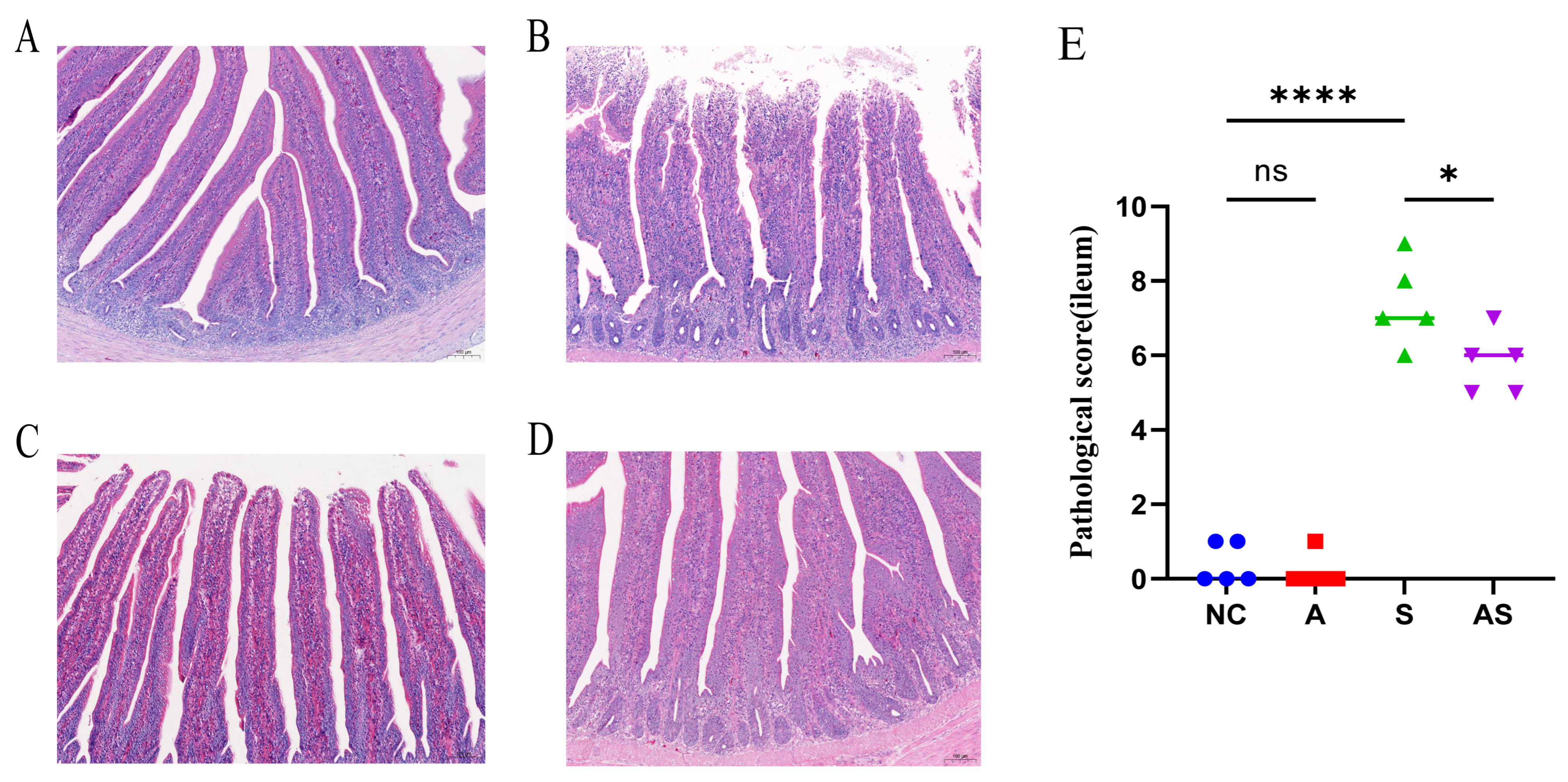 Biomolecules 13 01353 g002