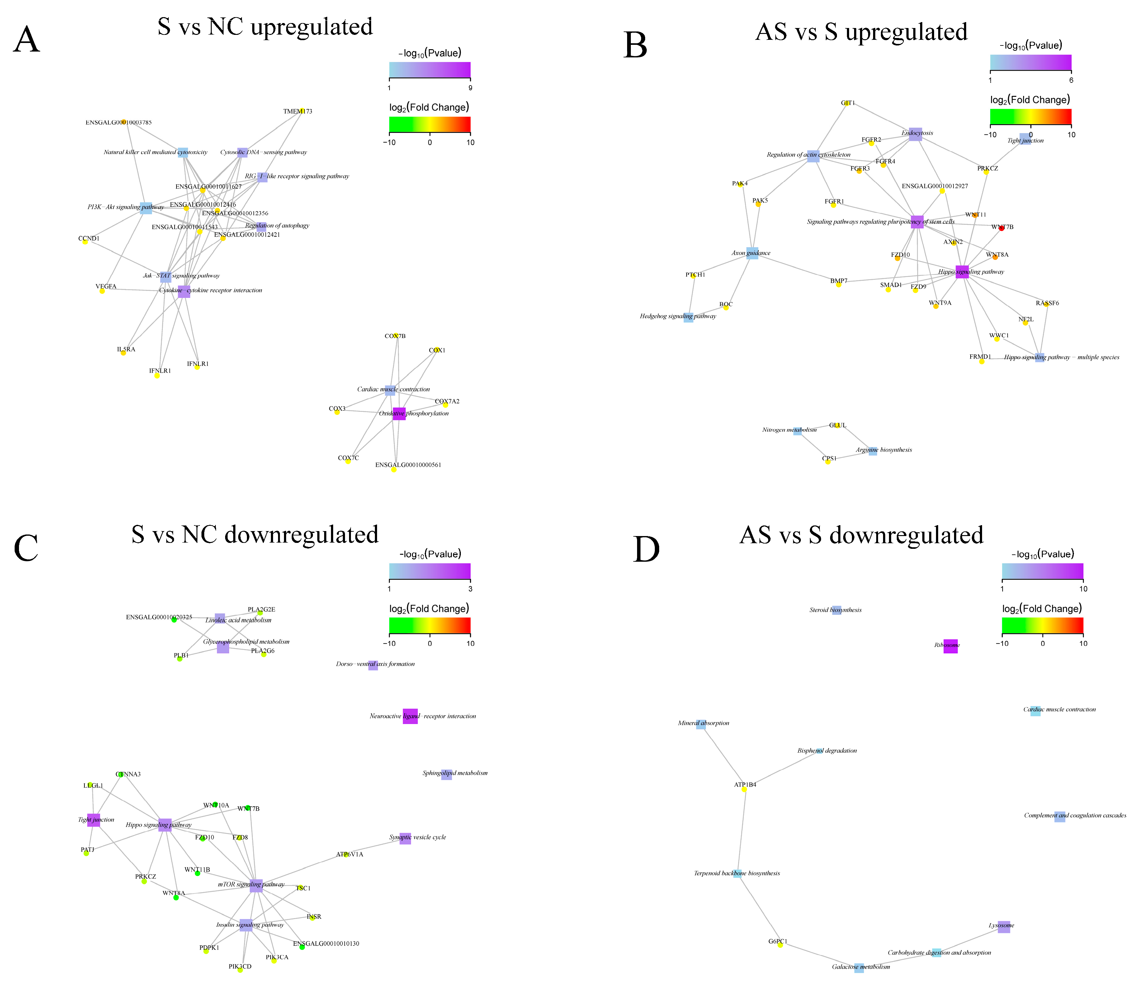 Biomolecules 13 01353 g009