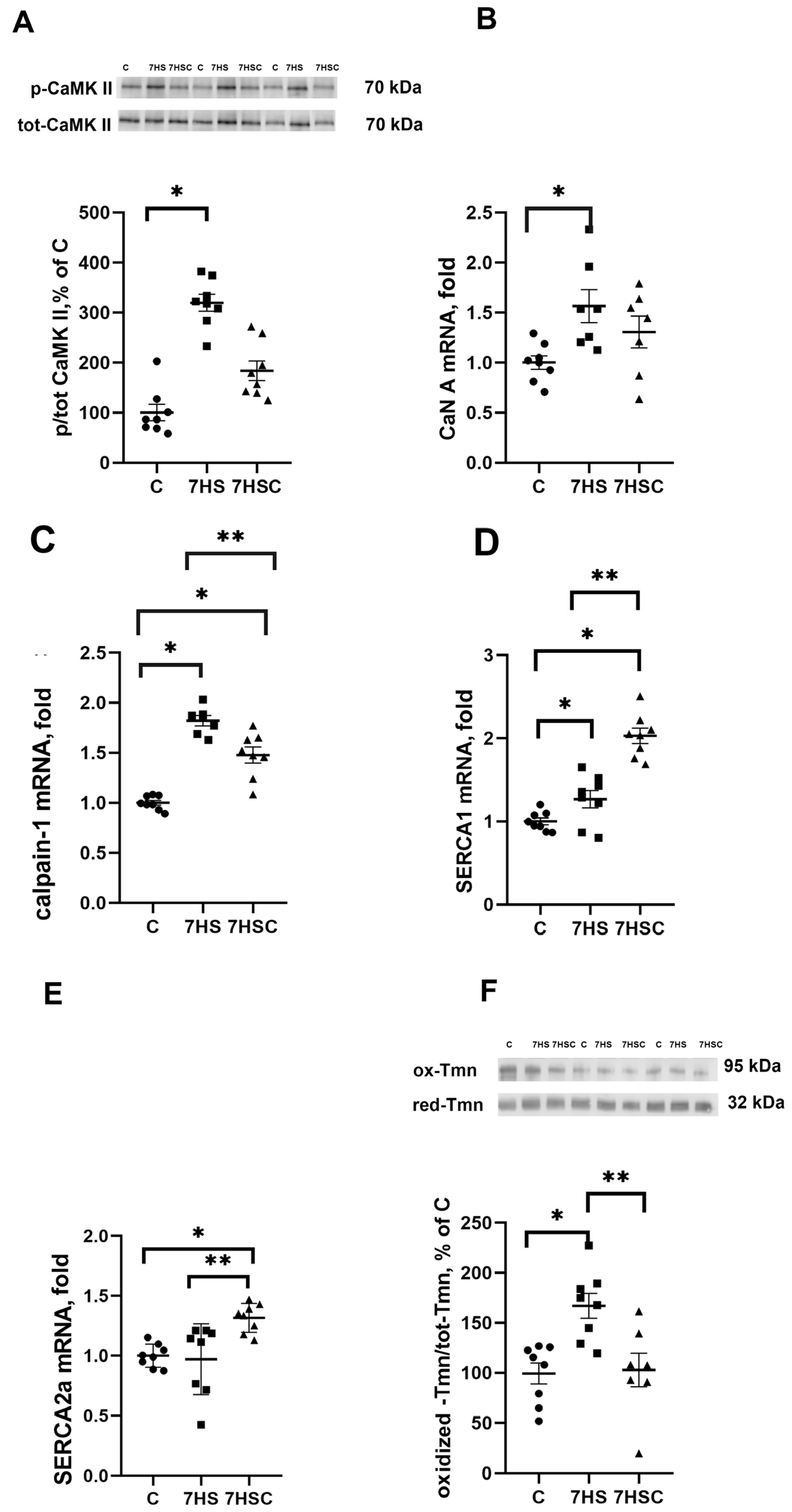 Biomolecules 13 01354 g002
