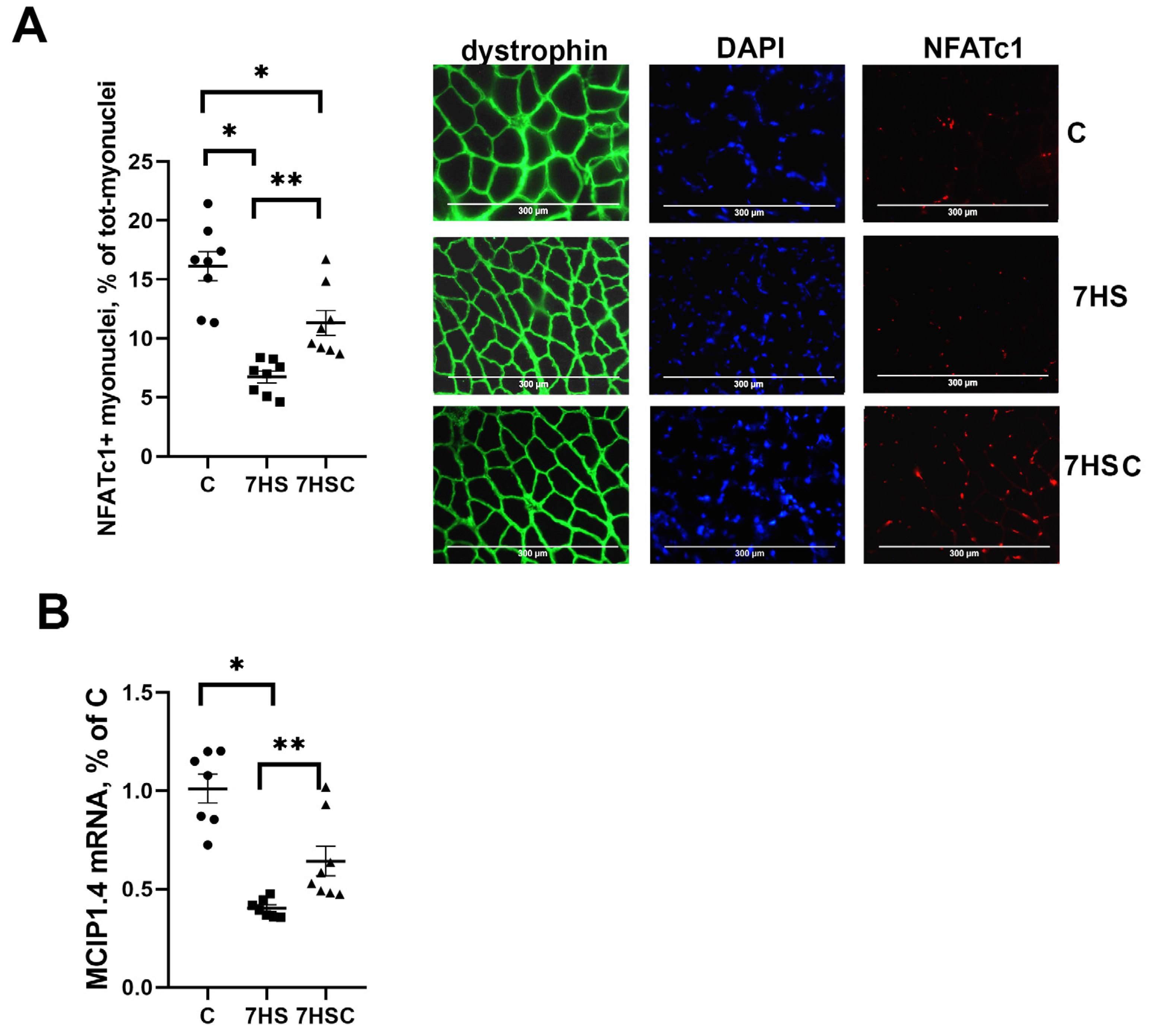 Biomolecules 13 01354 g005