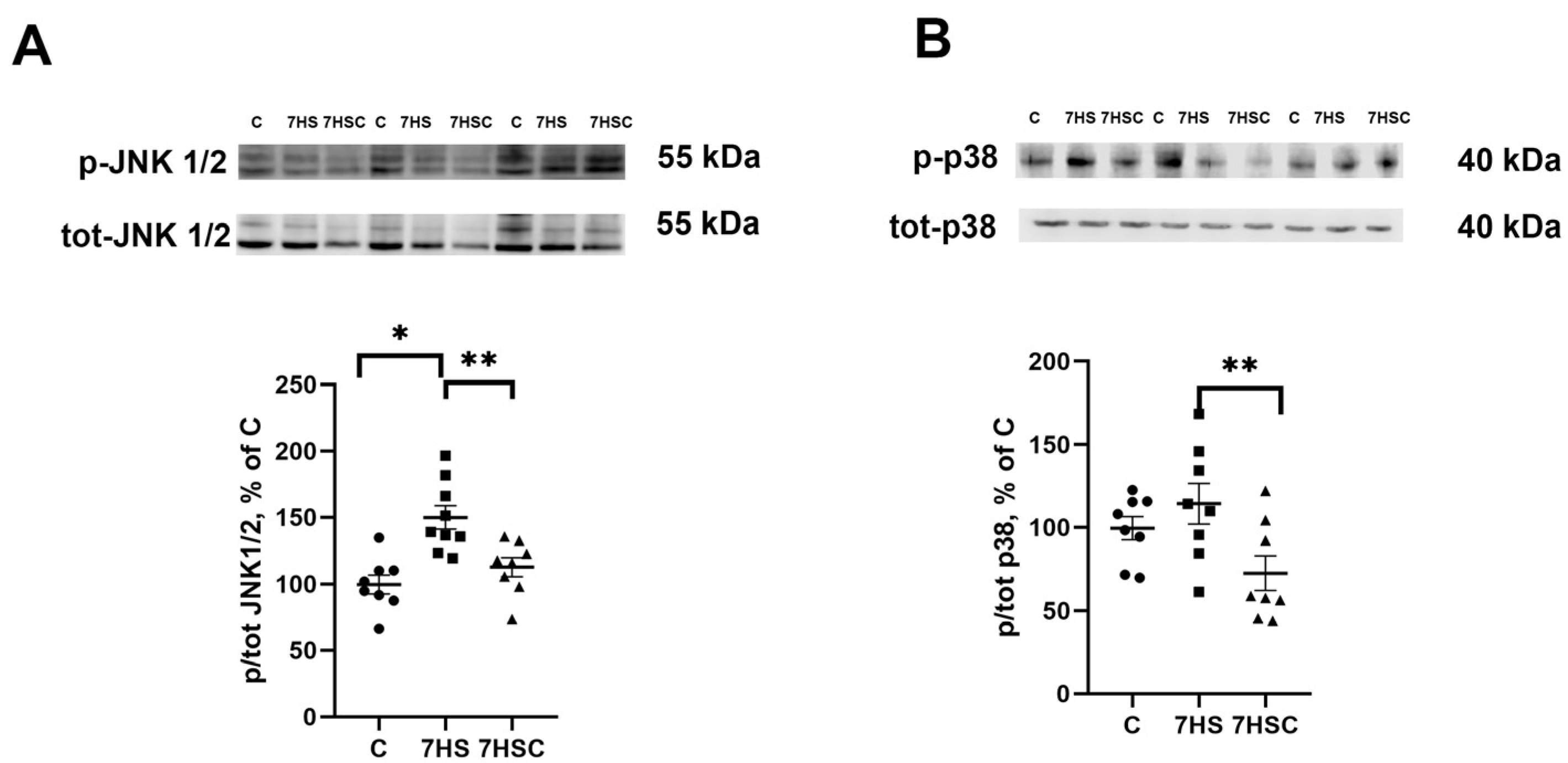 Biomolecules 13 01354 g006