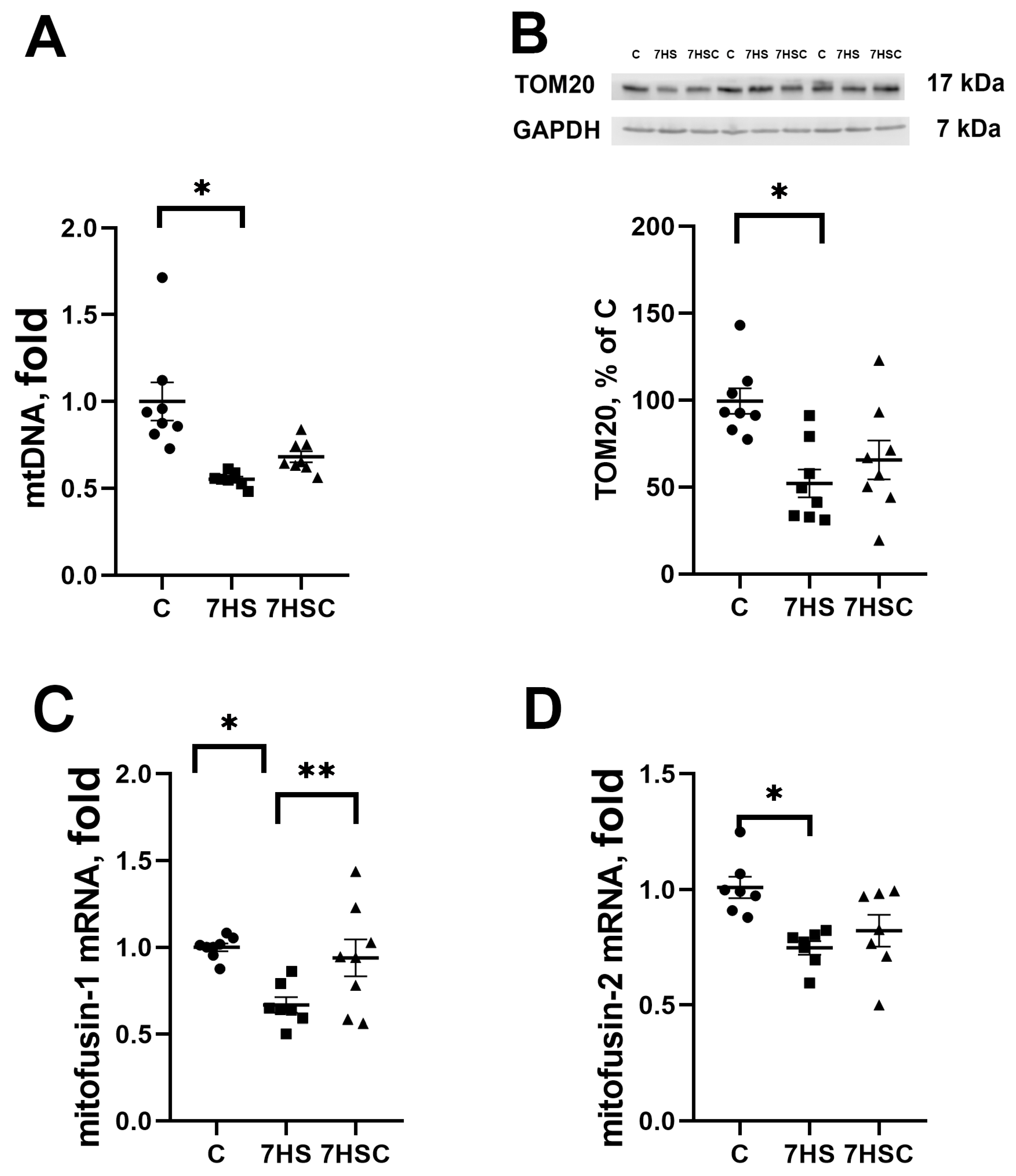 Biomolecules 13 01354 g008