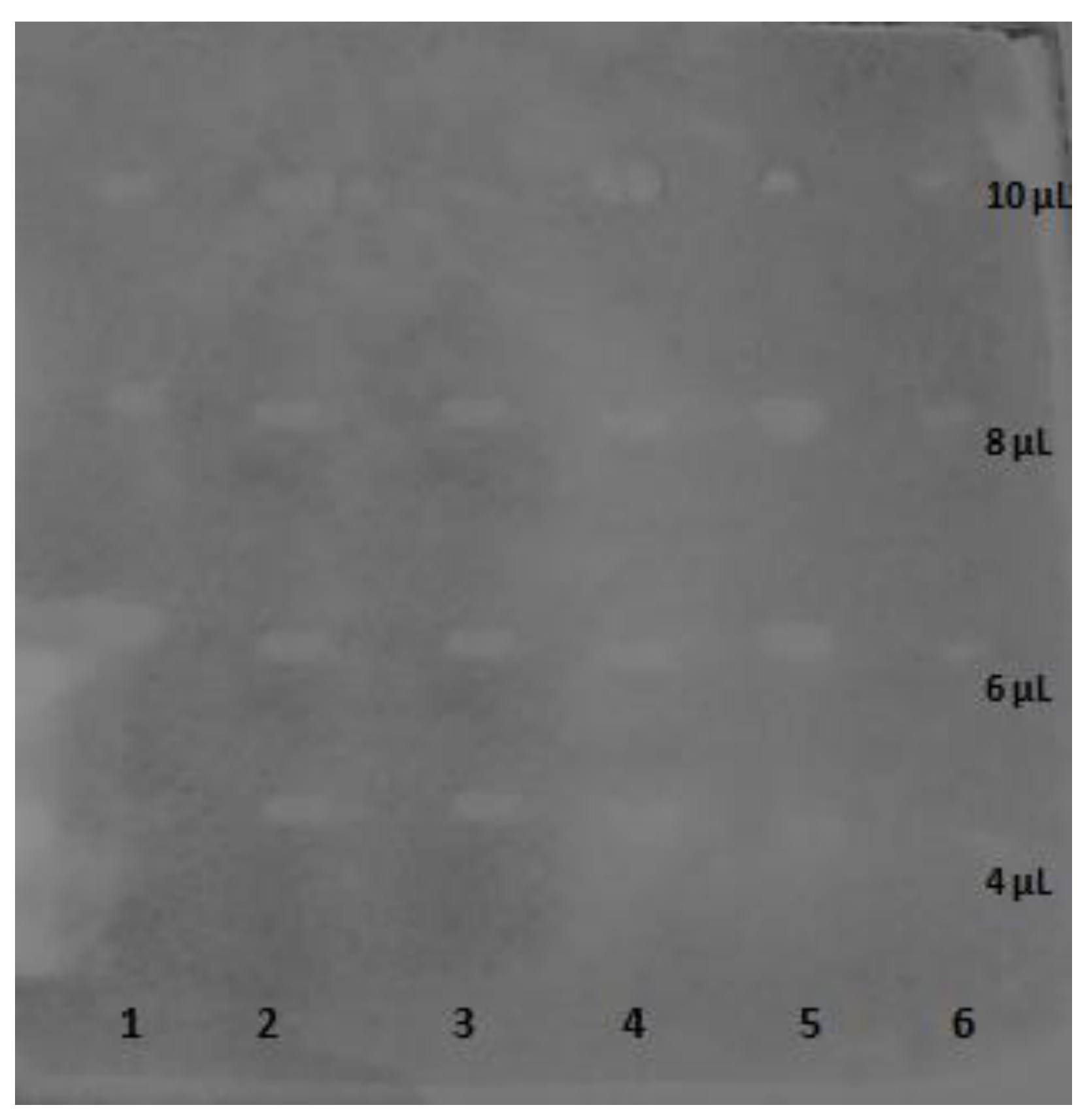 Biomolecules 13 01357 g003