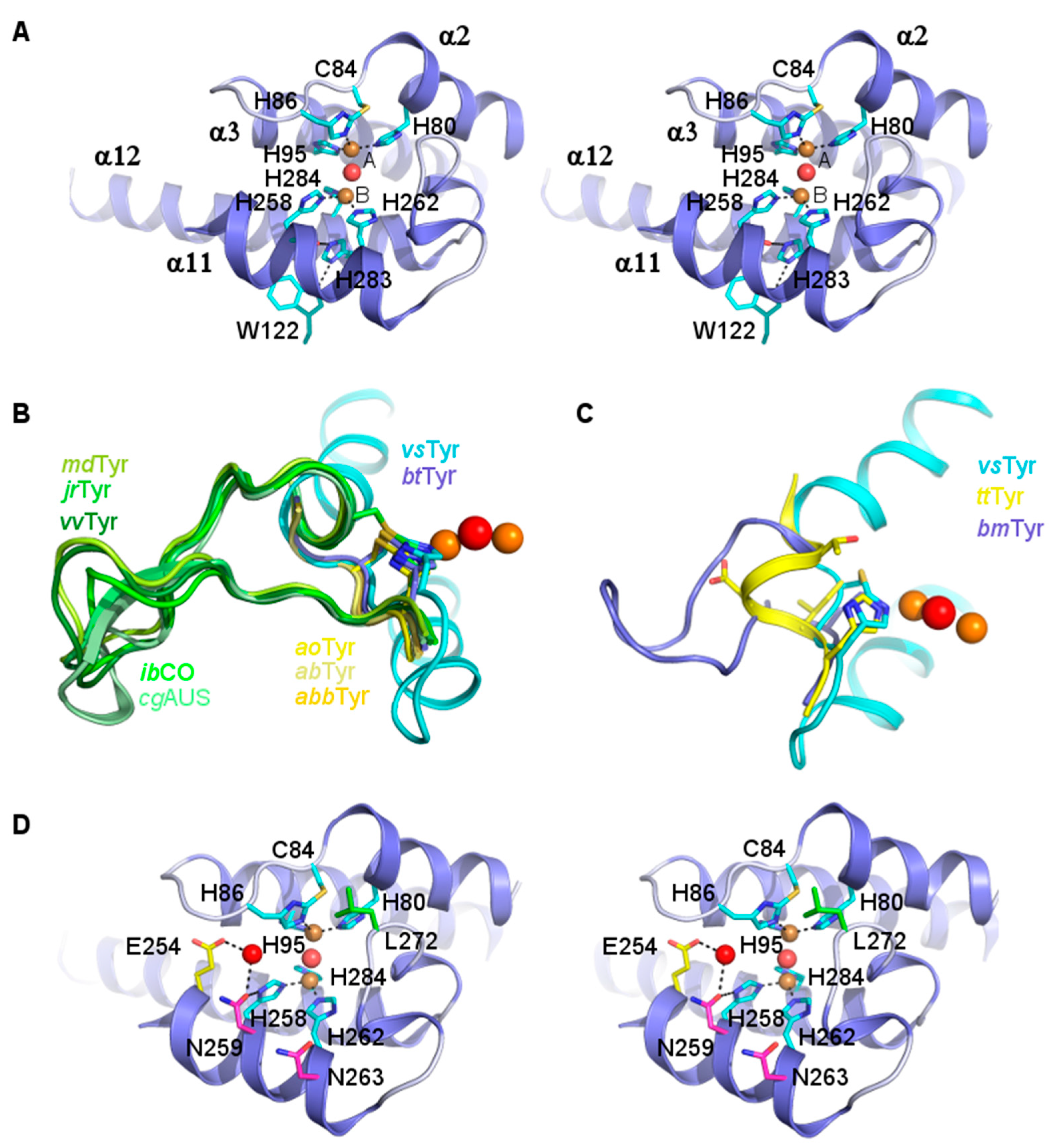 Biomolecules 13 01360 g005