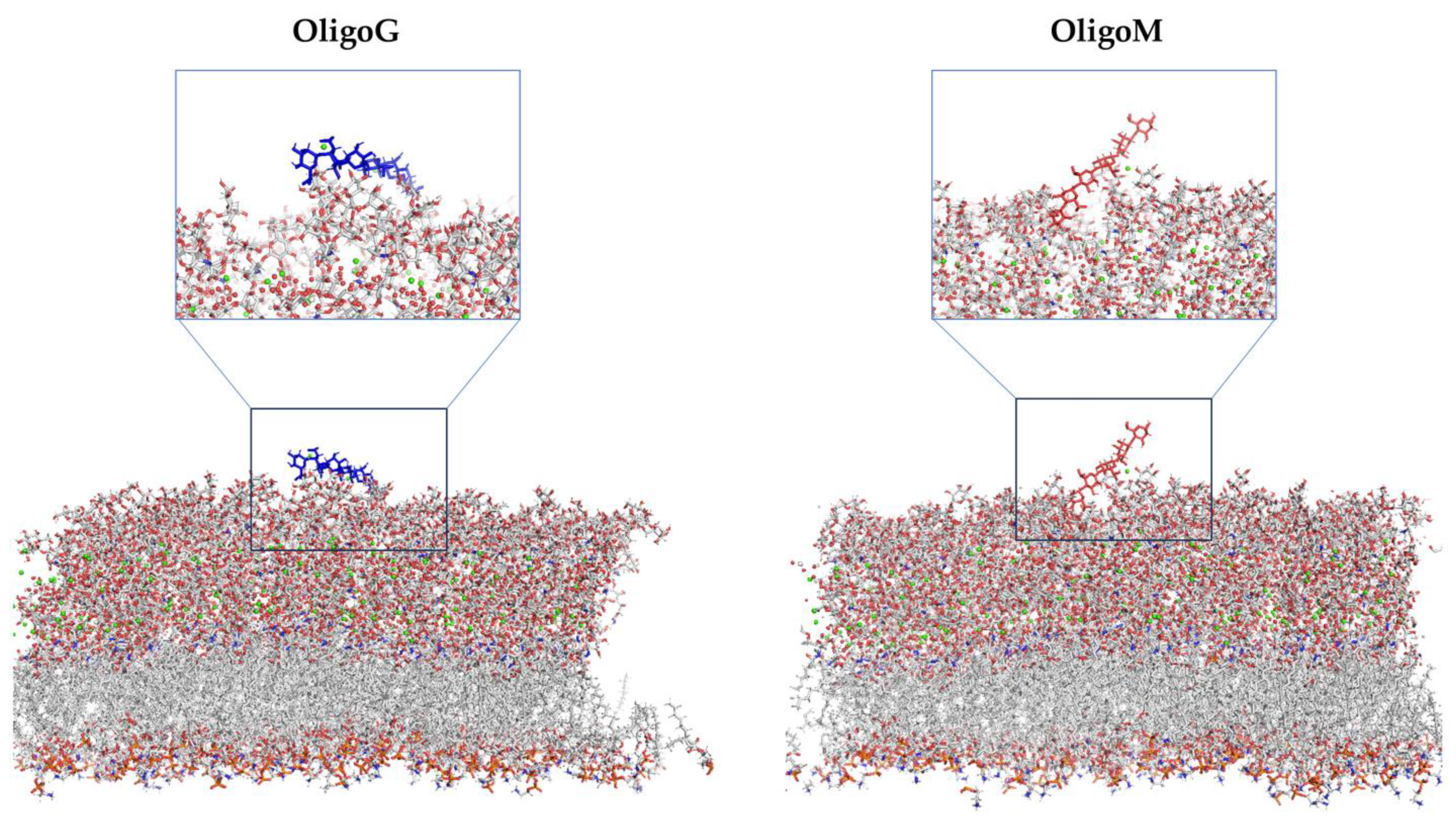 Biomolecules 13 01366 g003