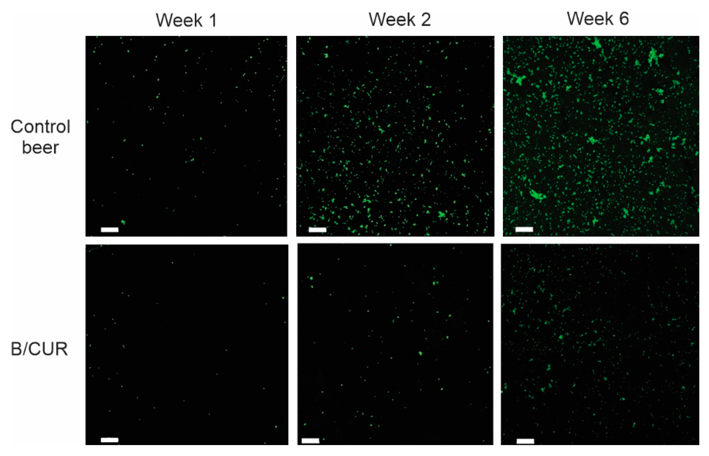 Biomolecules 13 01367 g005
