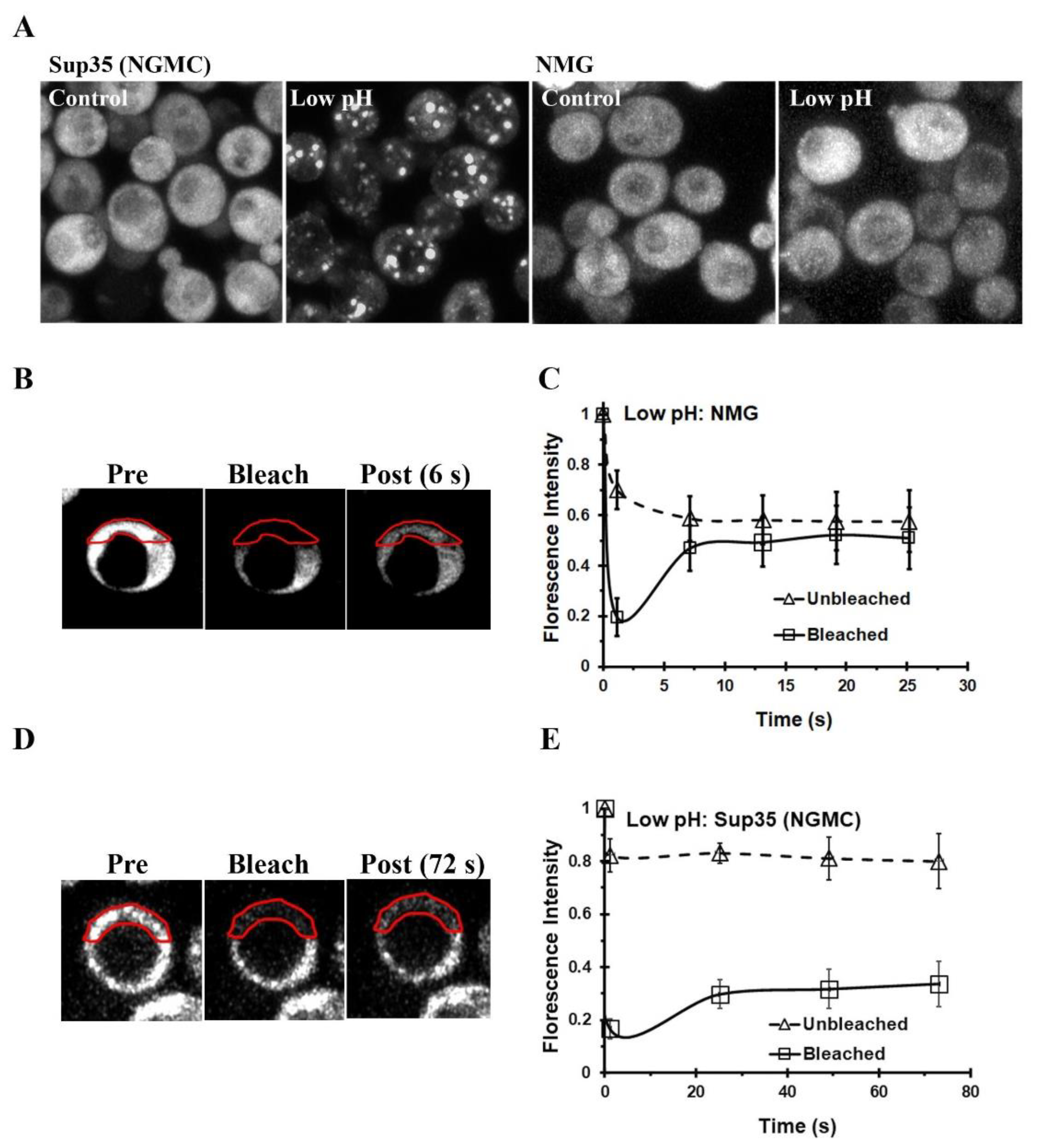 Biomolecules 13 01370 g001