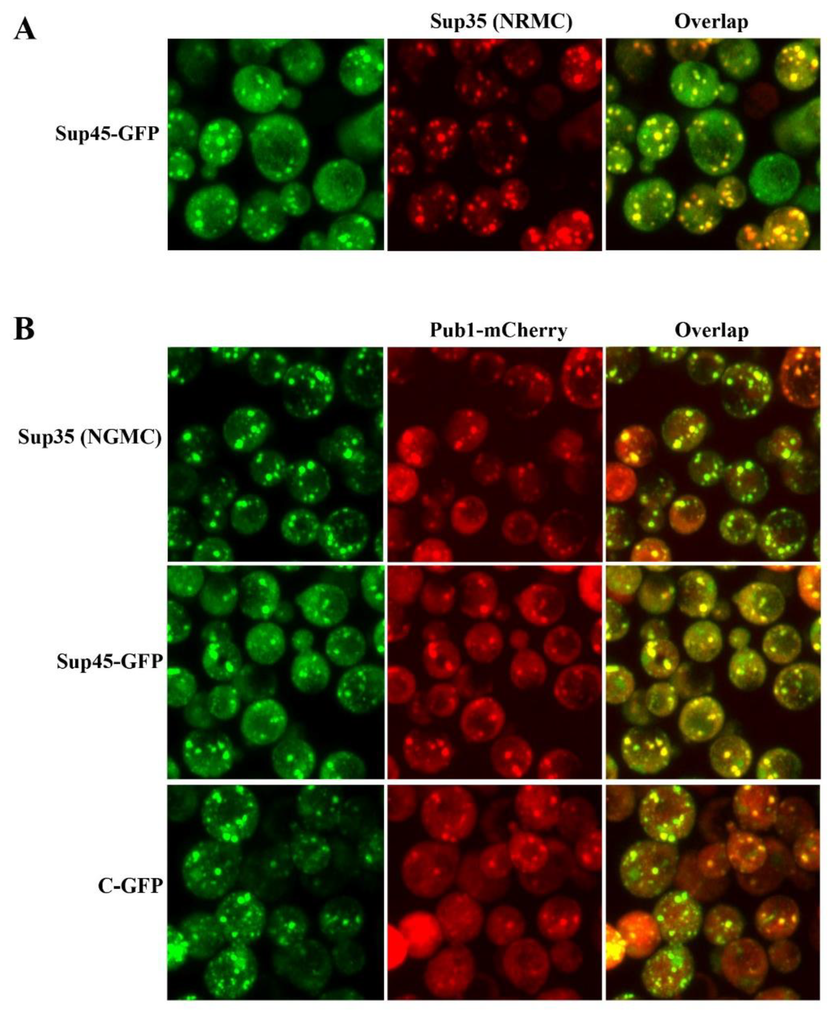Biomolecules 13 01370 g003