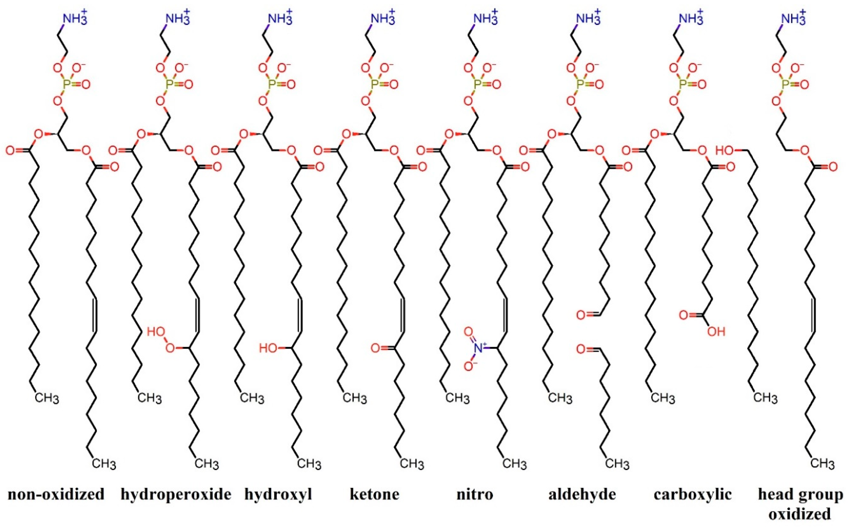 Biomolecules 13 01371 g001