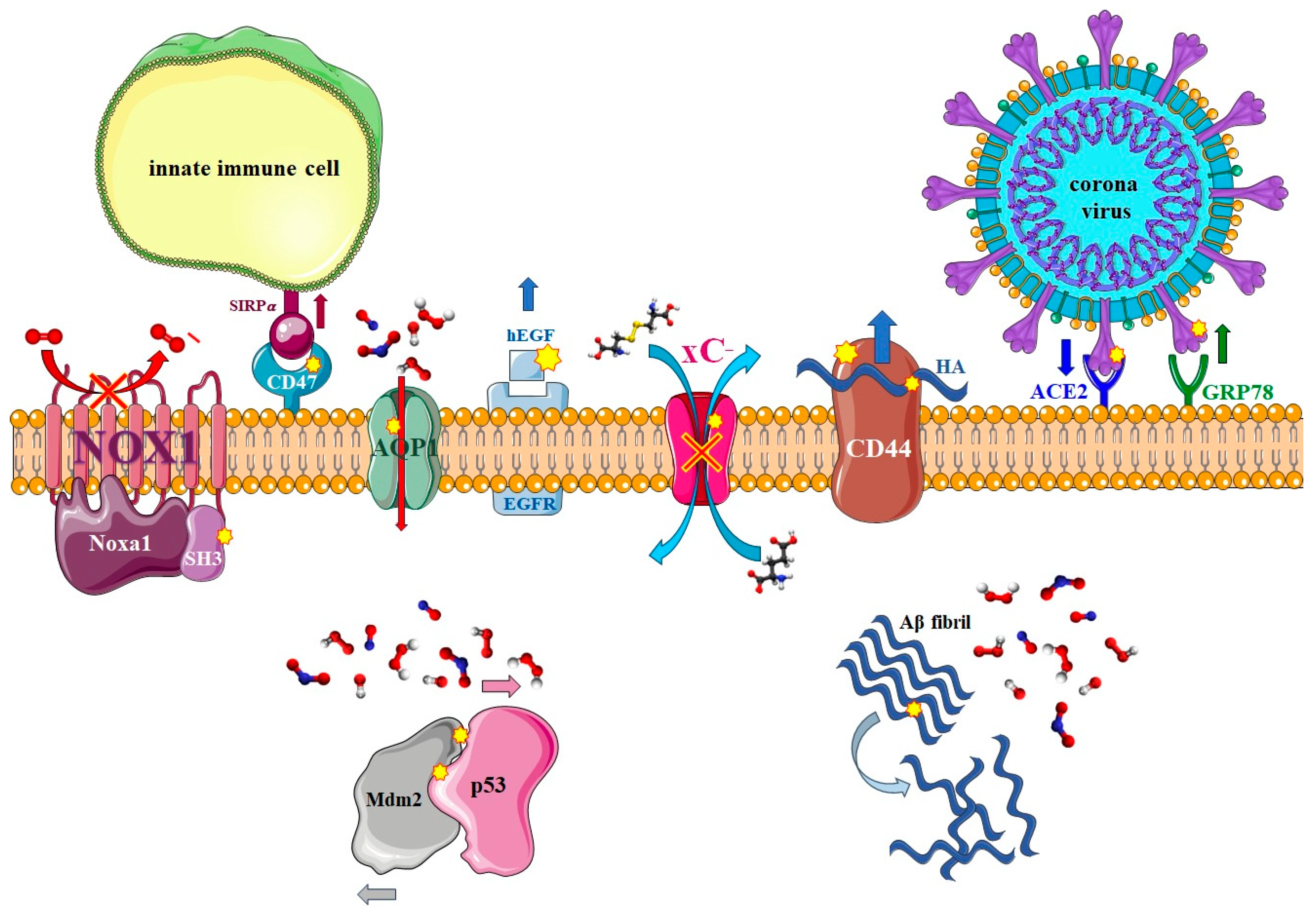 Biomolecules 13 01371 g008