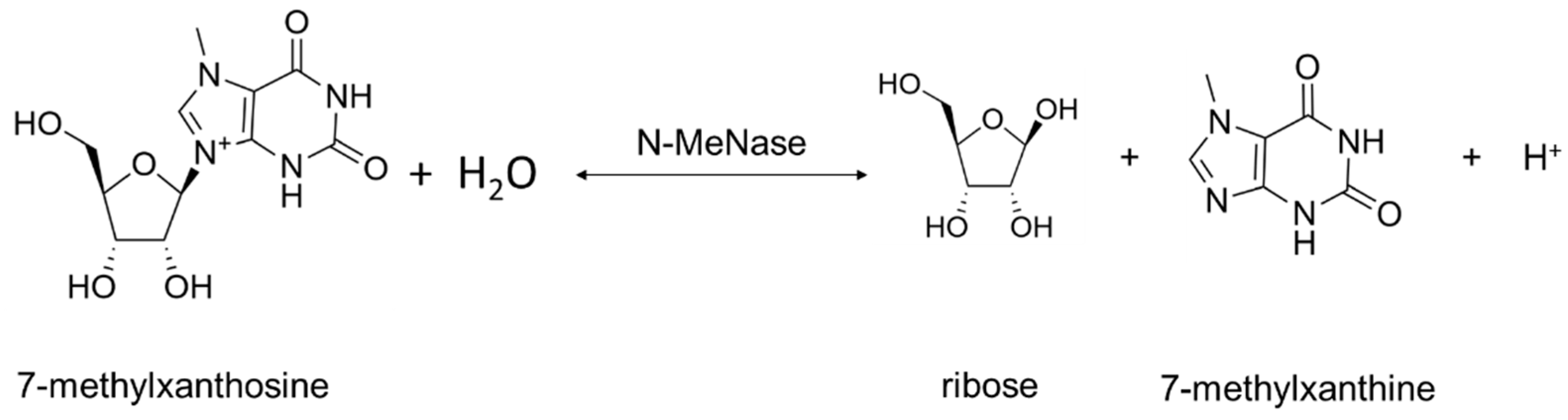 Biomolecules 13 01375 g005