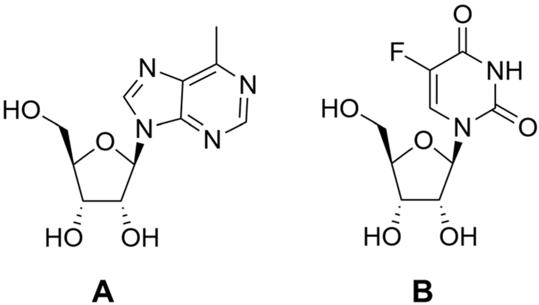 Biomolecules 13 01375 g013
