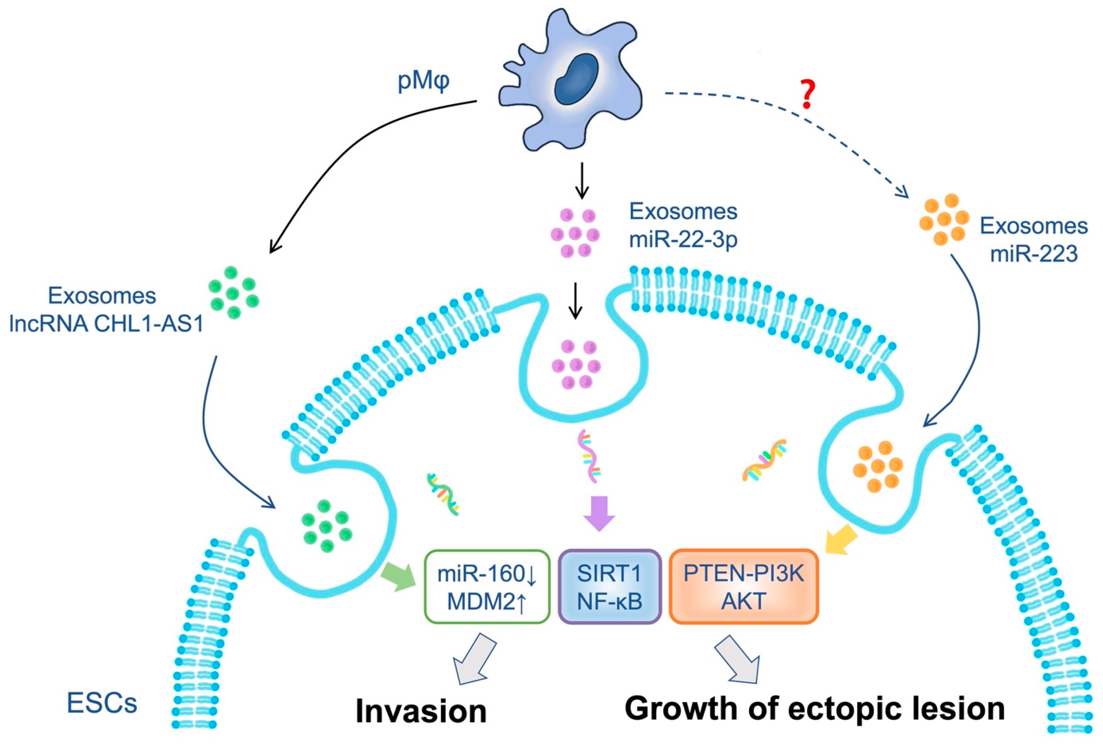 Biomolecules 13 01376 g001