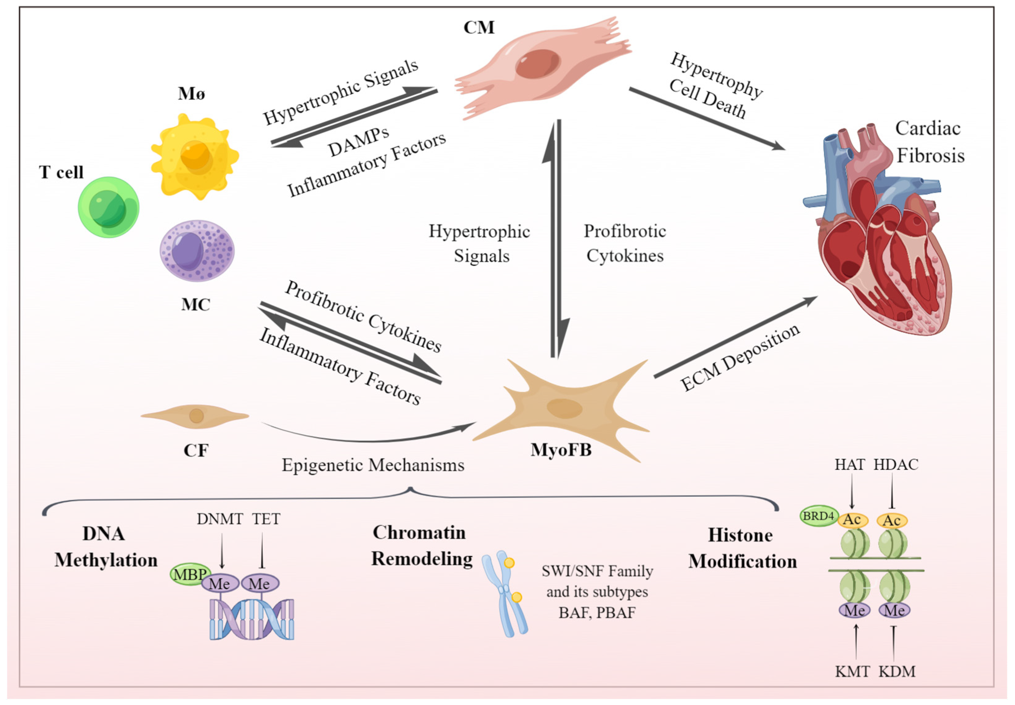 Biomolecules 13 01382 g001