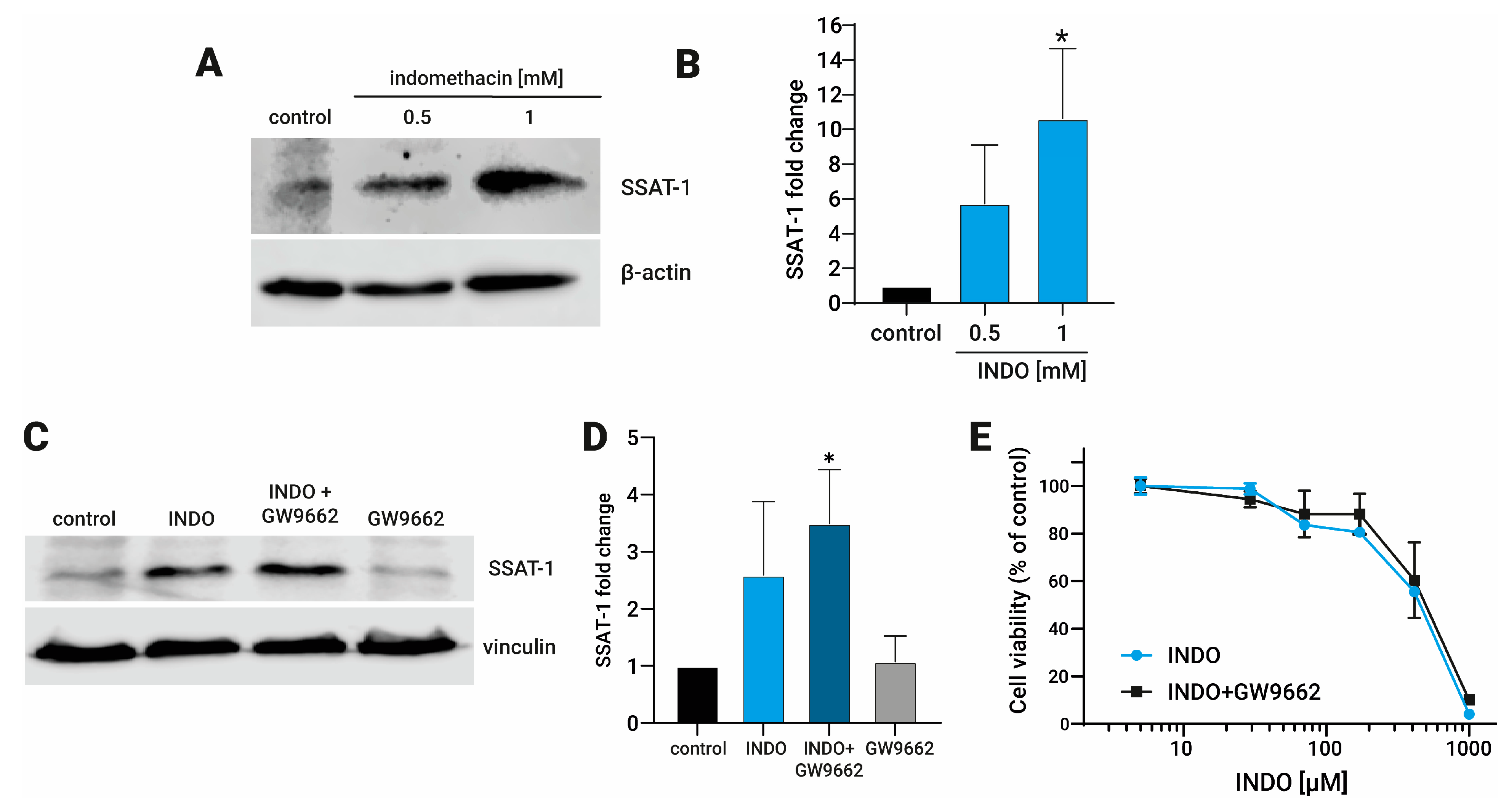 Biomolecules 13 01383 g001
