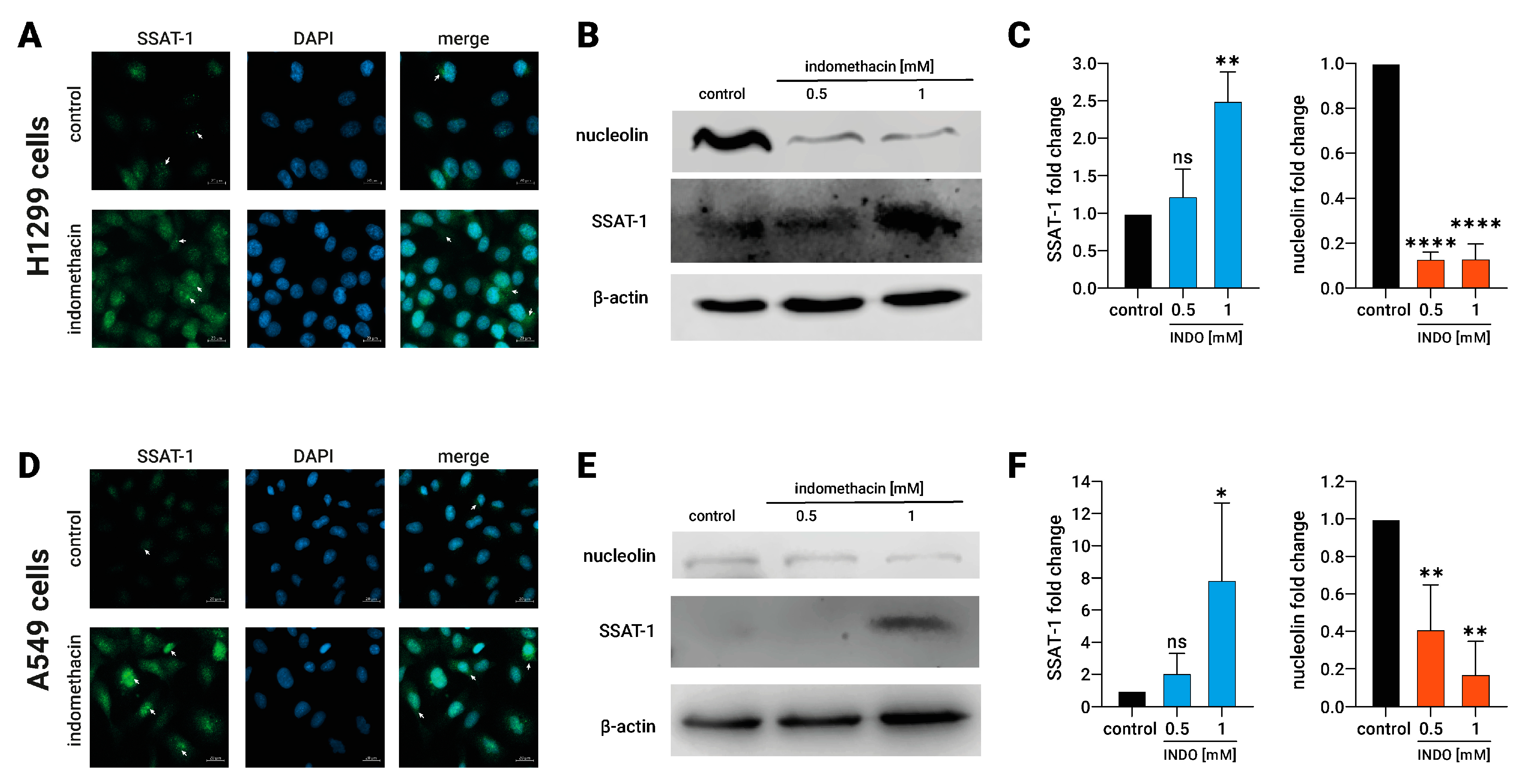Biomolecules 13 01383 g002