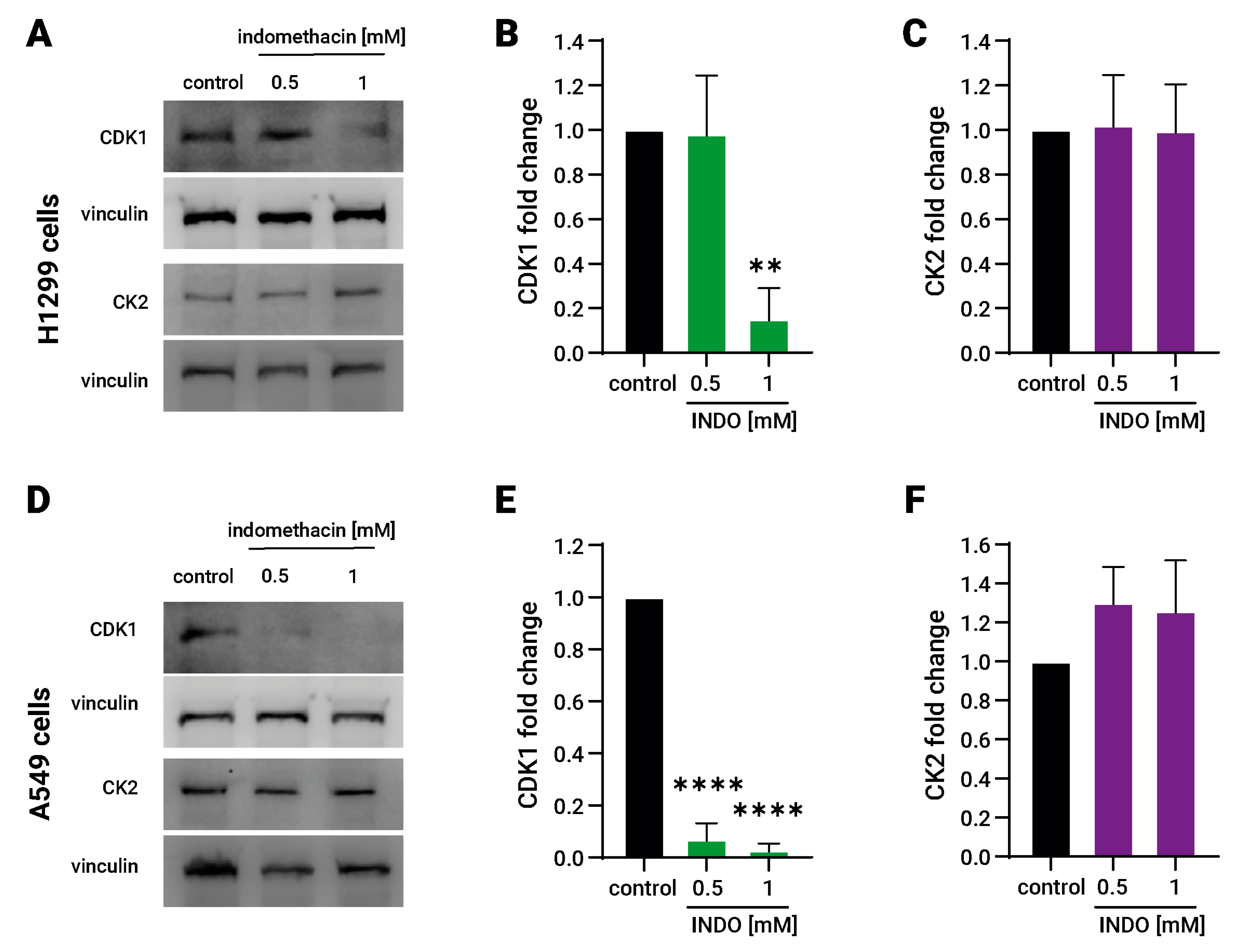Biomolecules 13 01383 g003