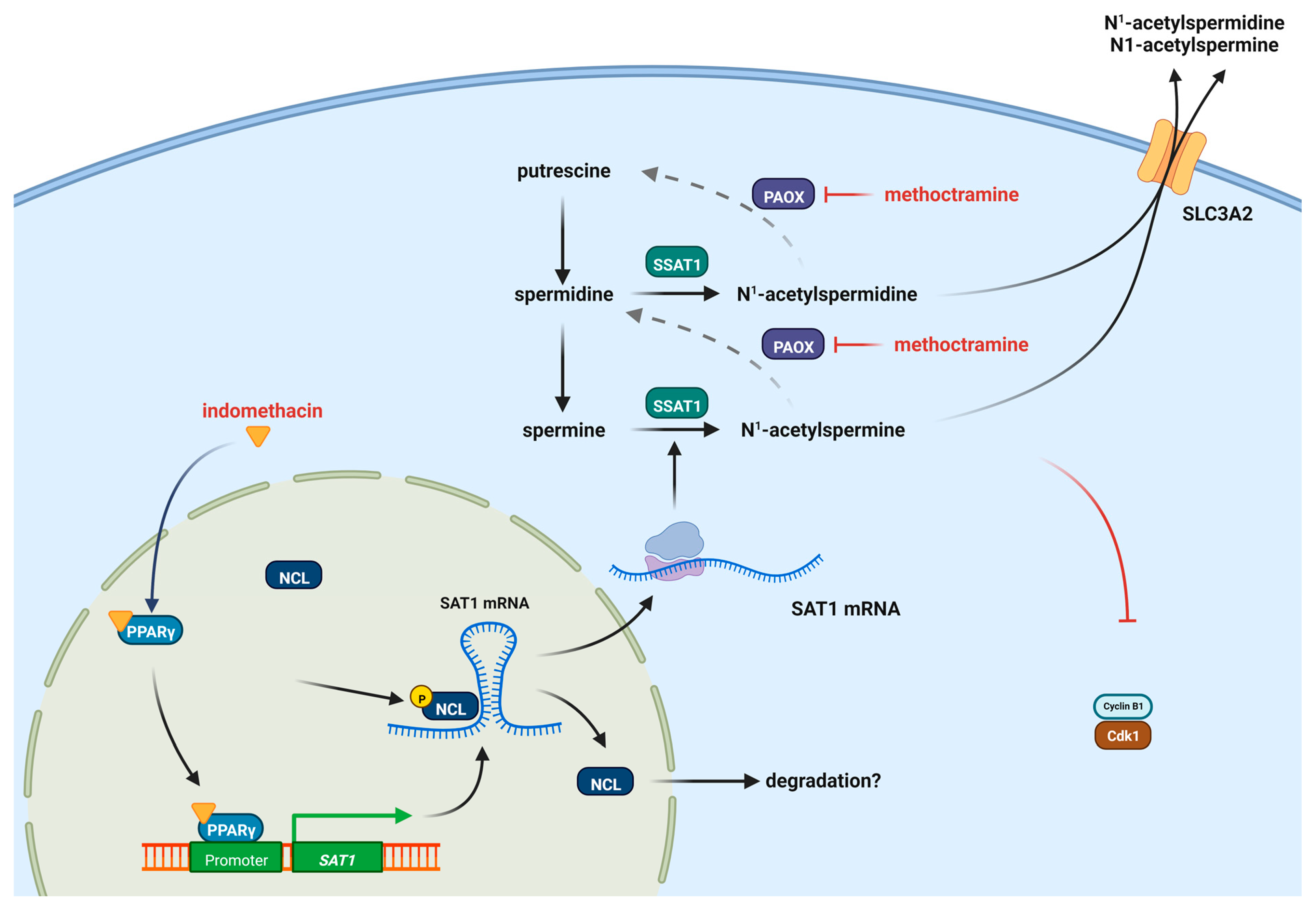 Biomolecules 13 01383 g006