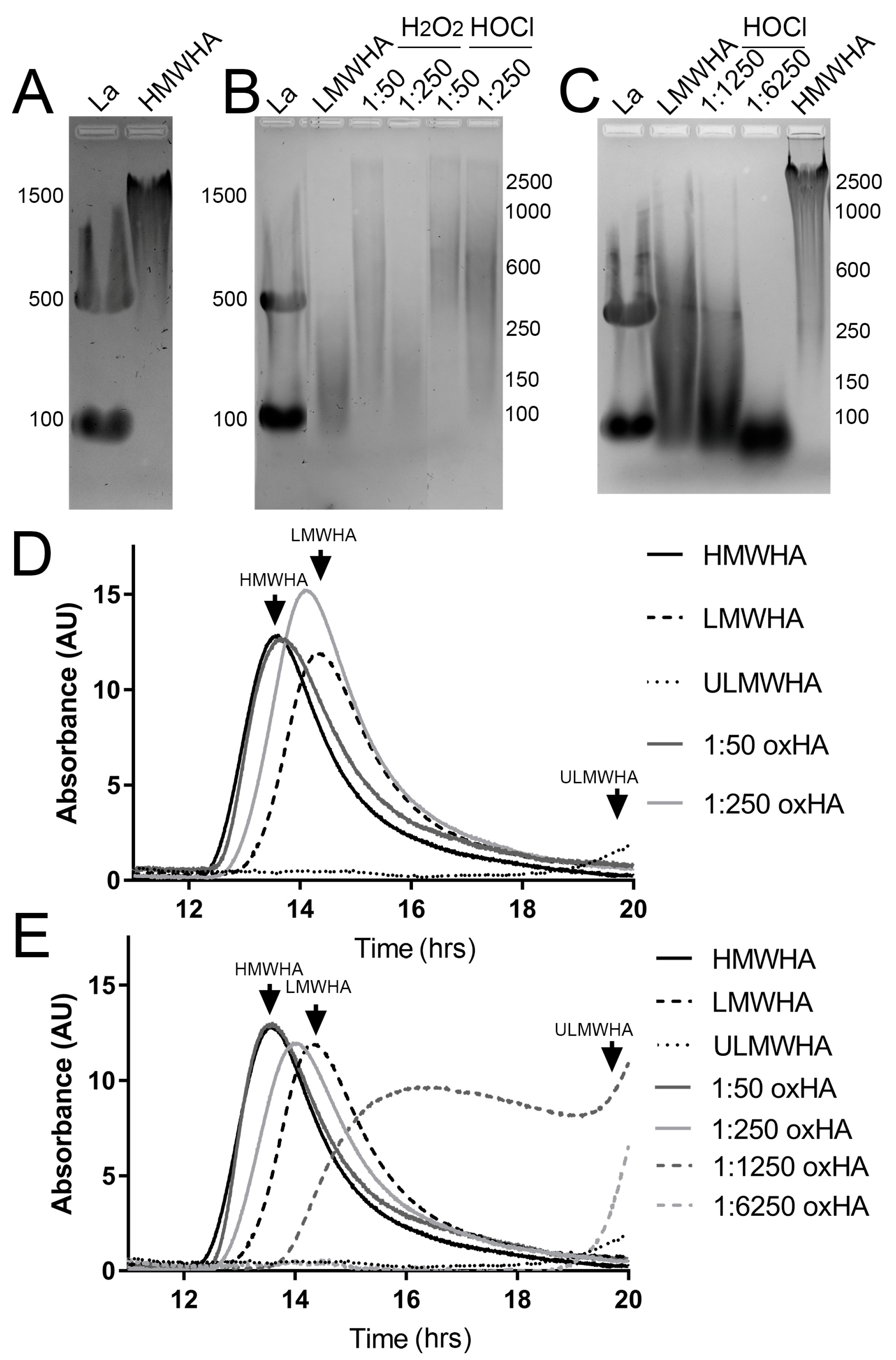 Biomolecules 13 01385 g002