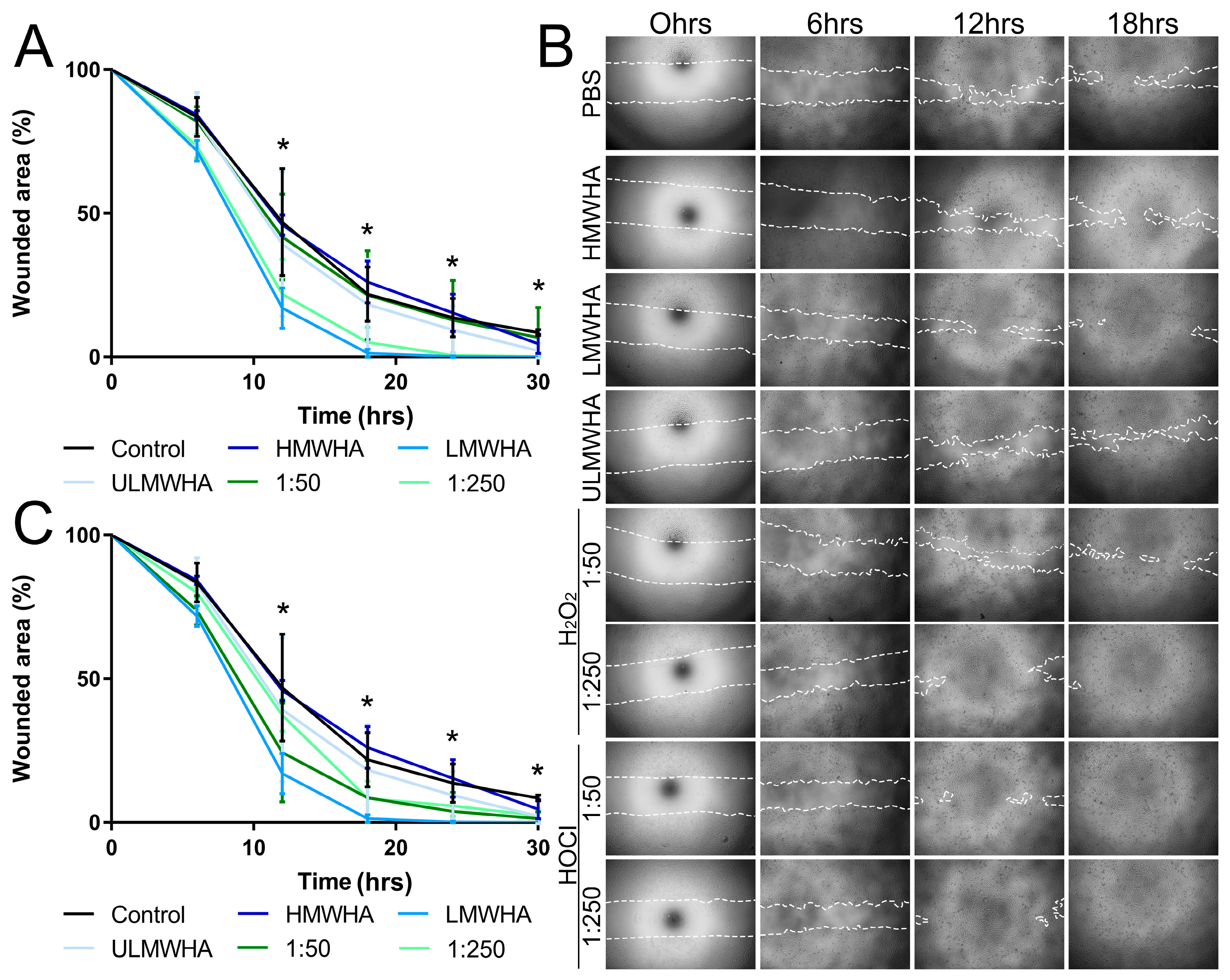 Biomolecules 13 01385 g005