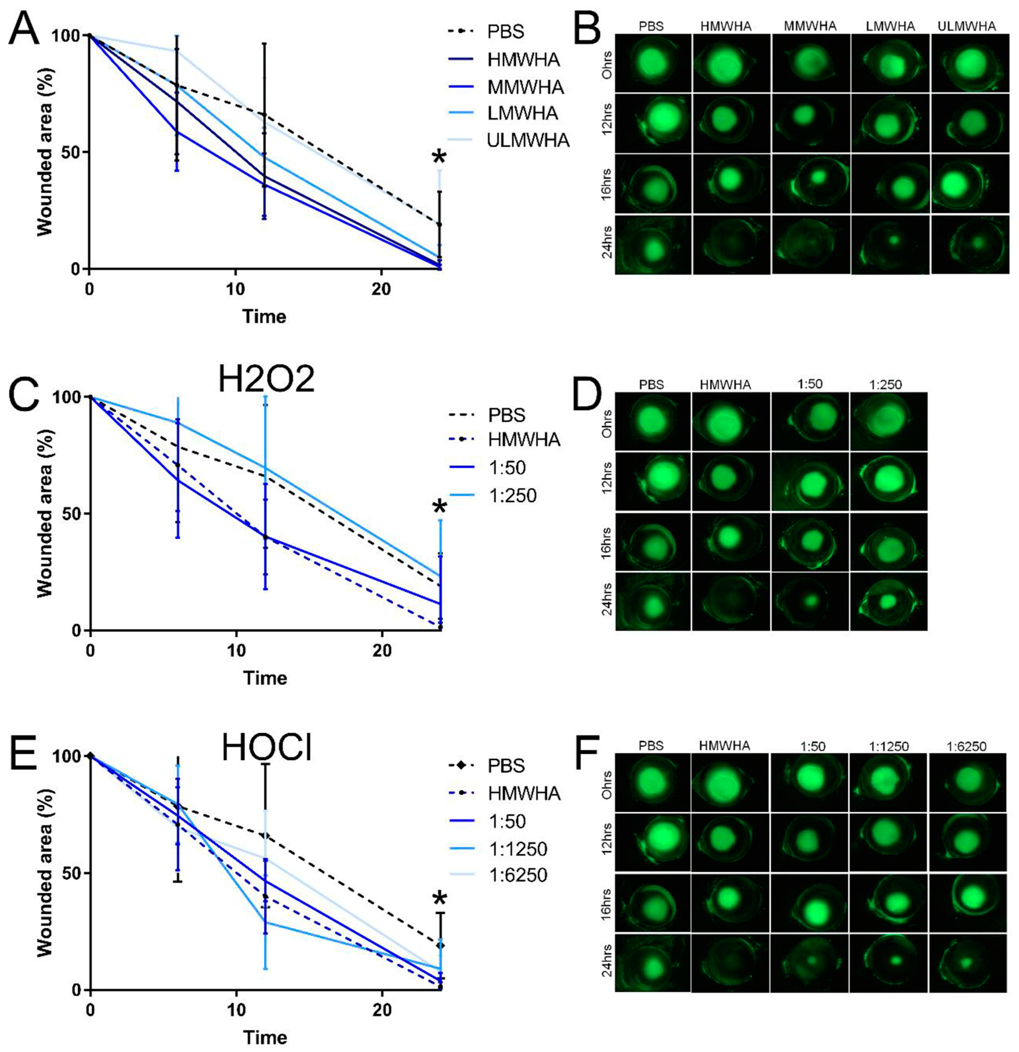 Biomolecules 13 01385 g006