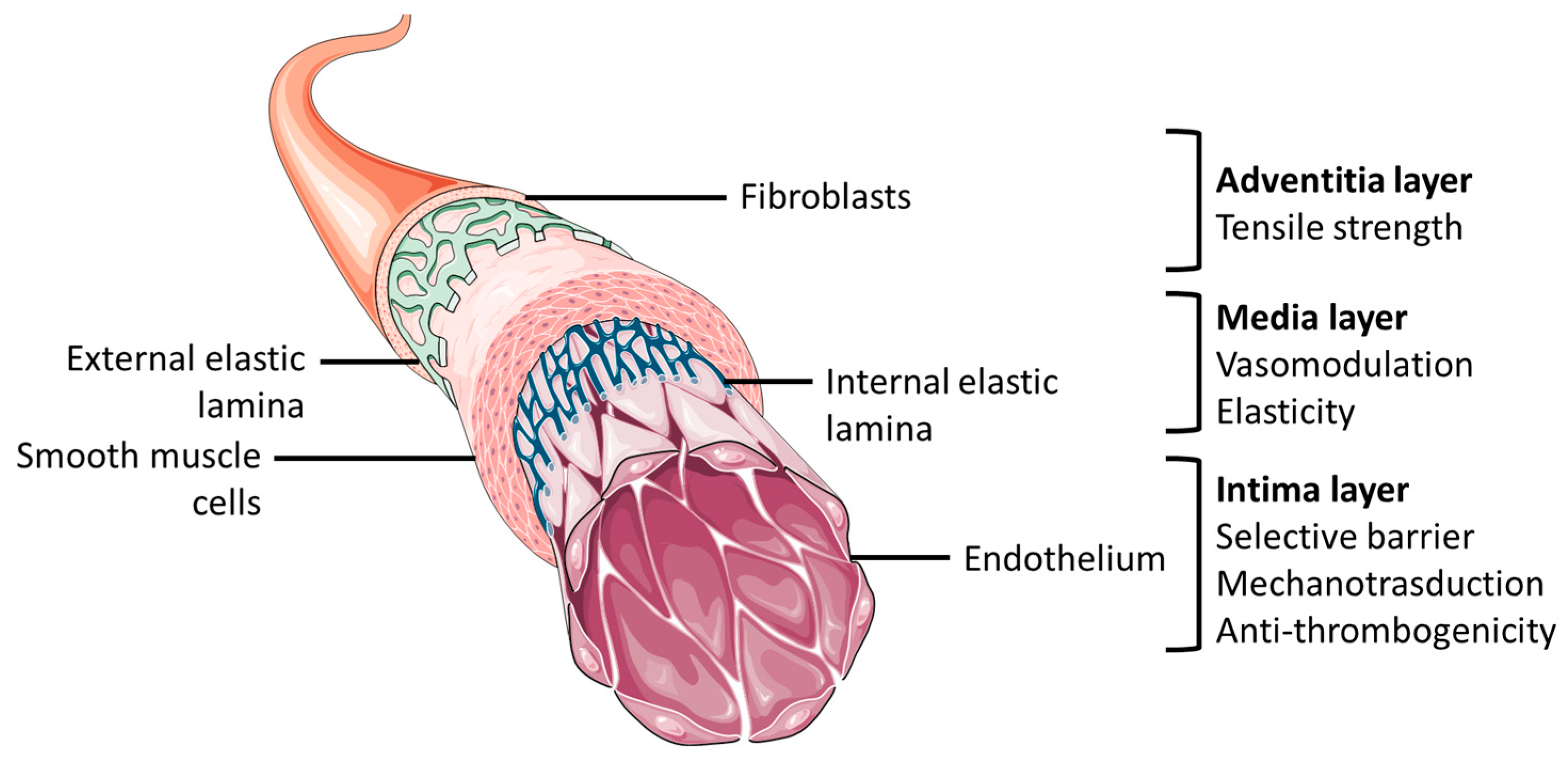 Biomolecules 13 01389 g001
