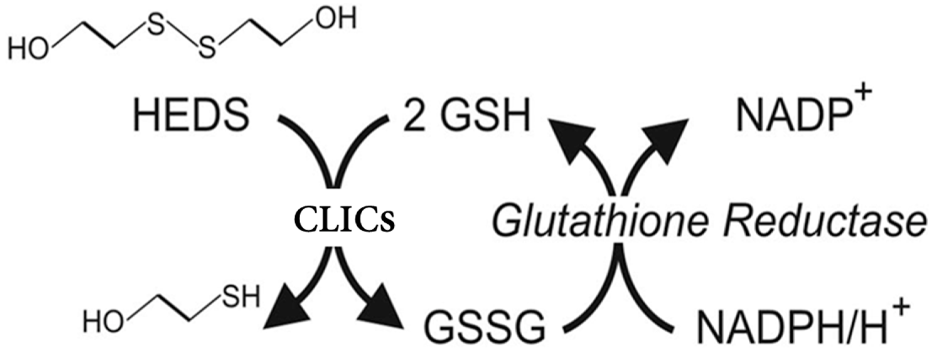 Biomolecules 13 01394 g002