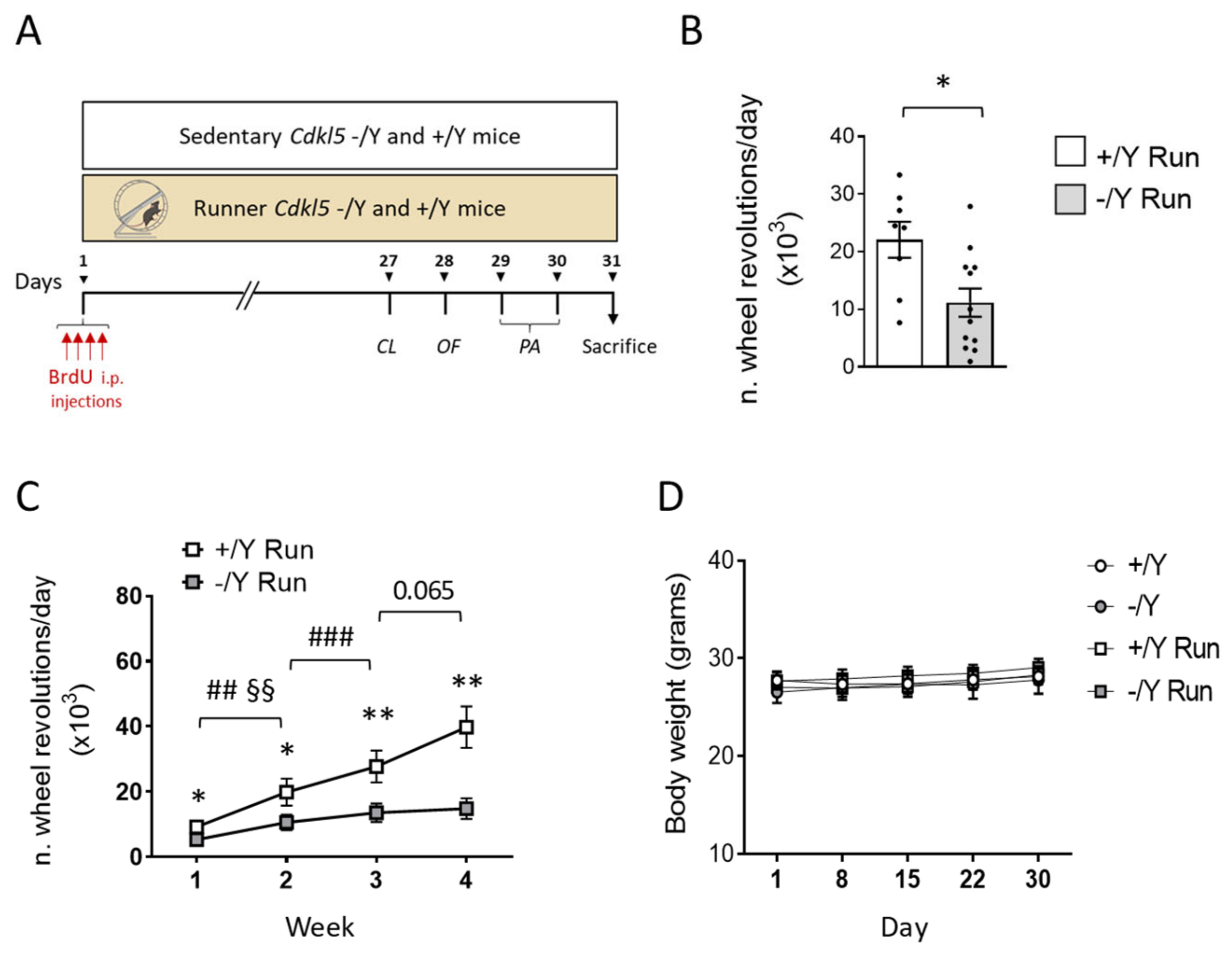 Biomolecules 13 01396 g001