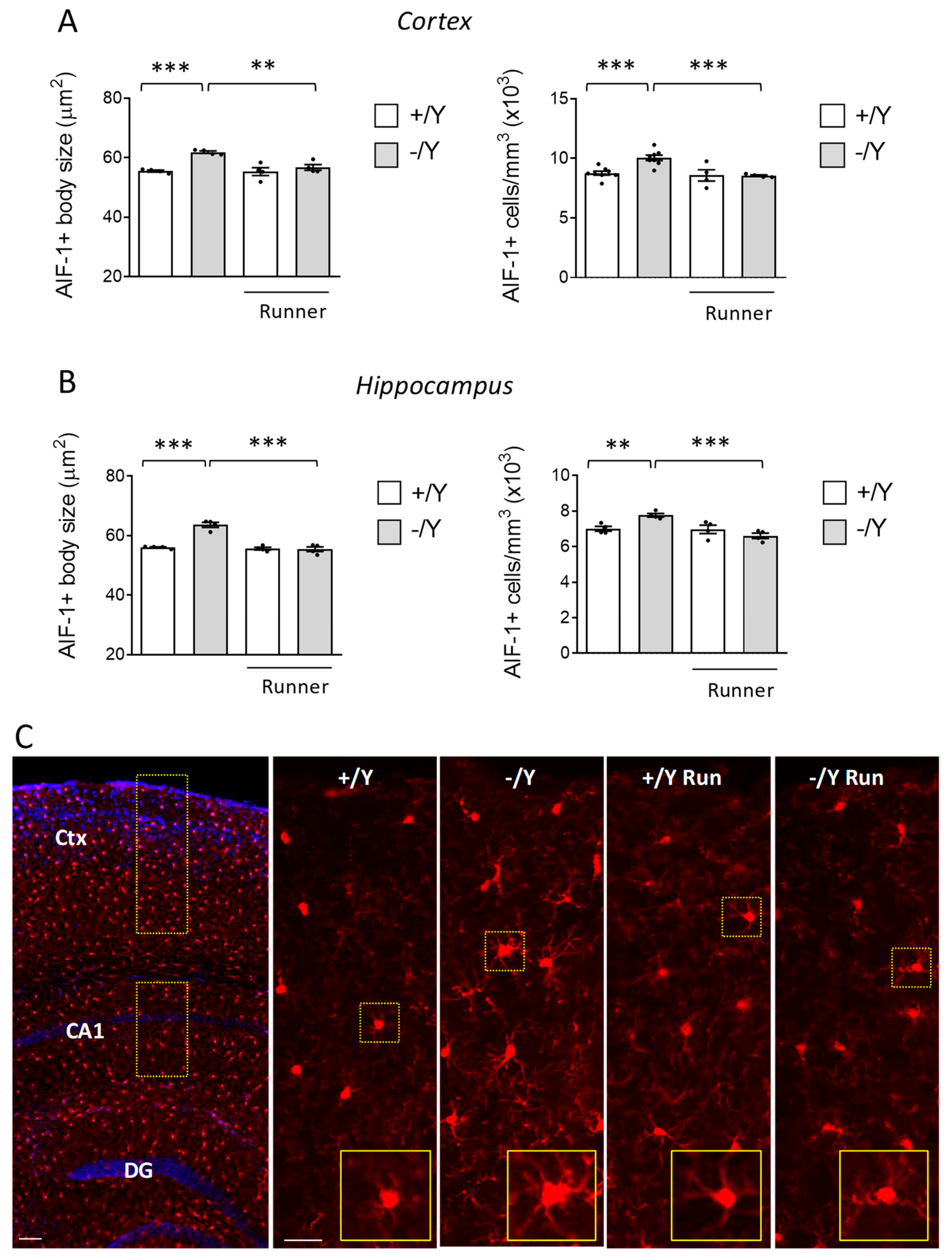 Biomolecules 13 01396 g004