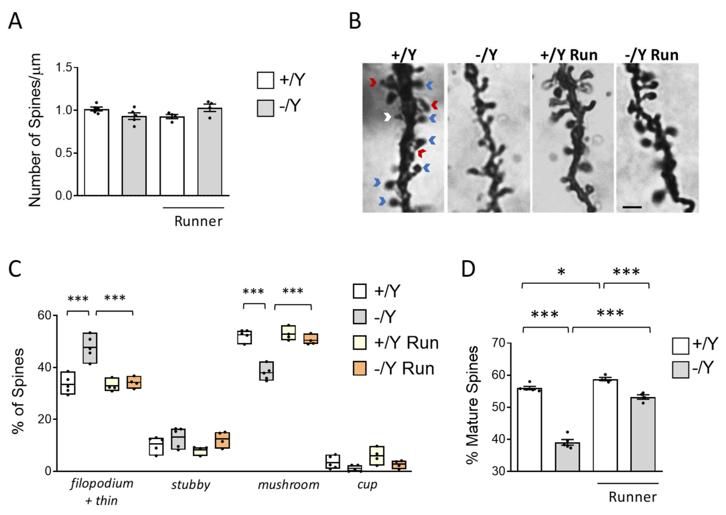 Biomolecules 13 01396 g005