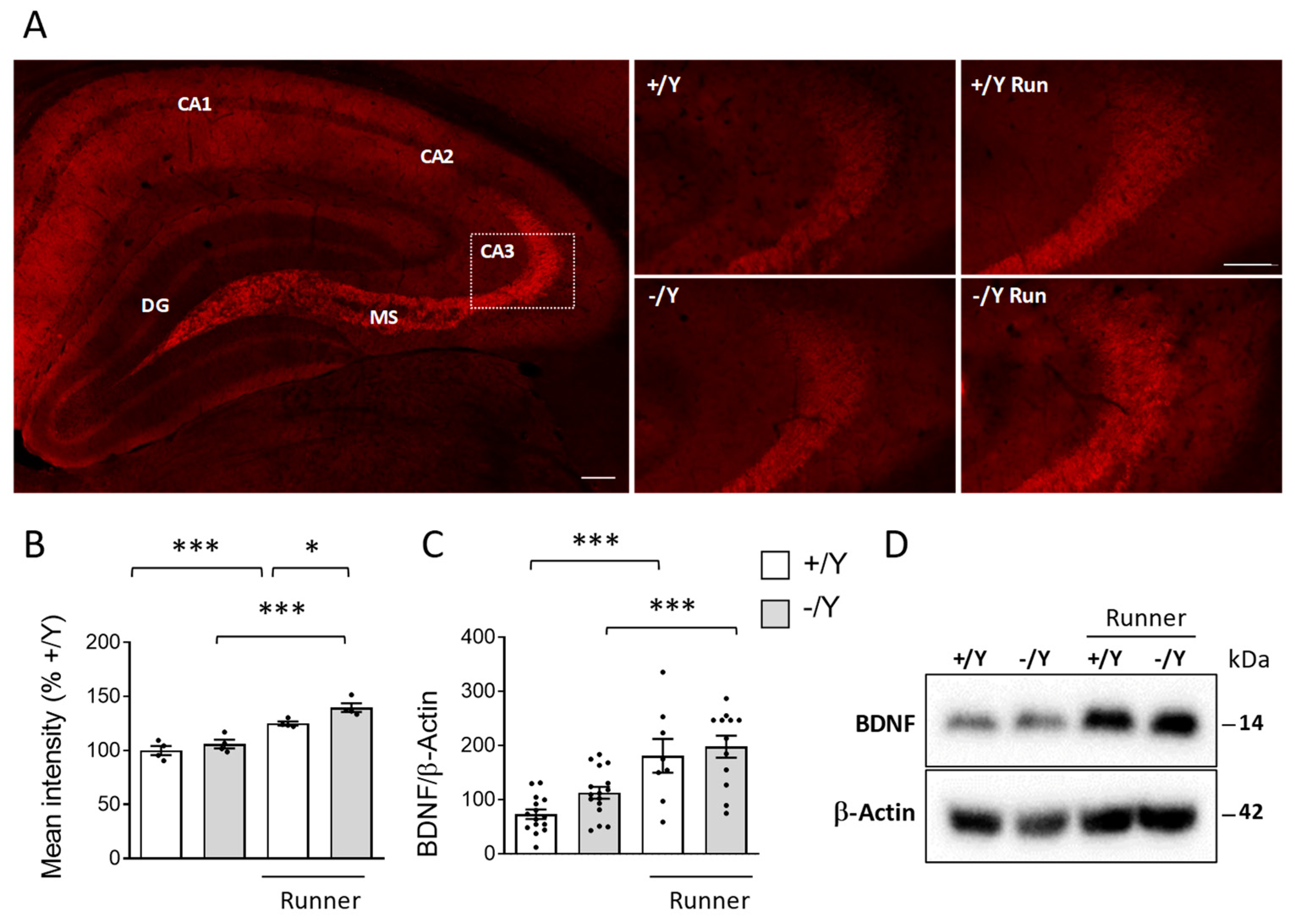 Biomolecules 13 01396 g006