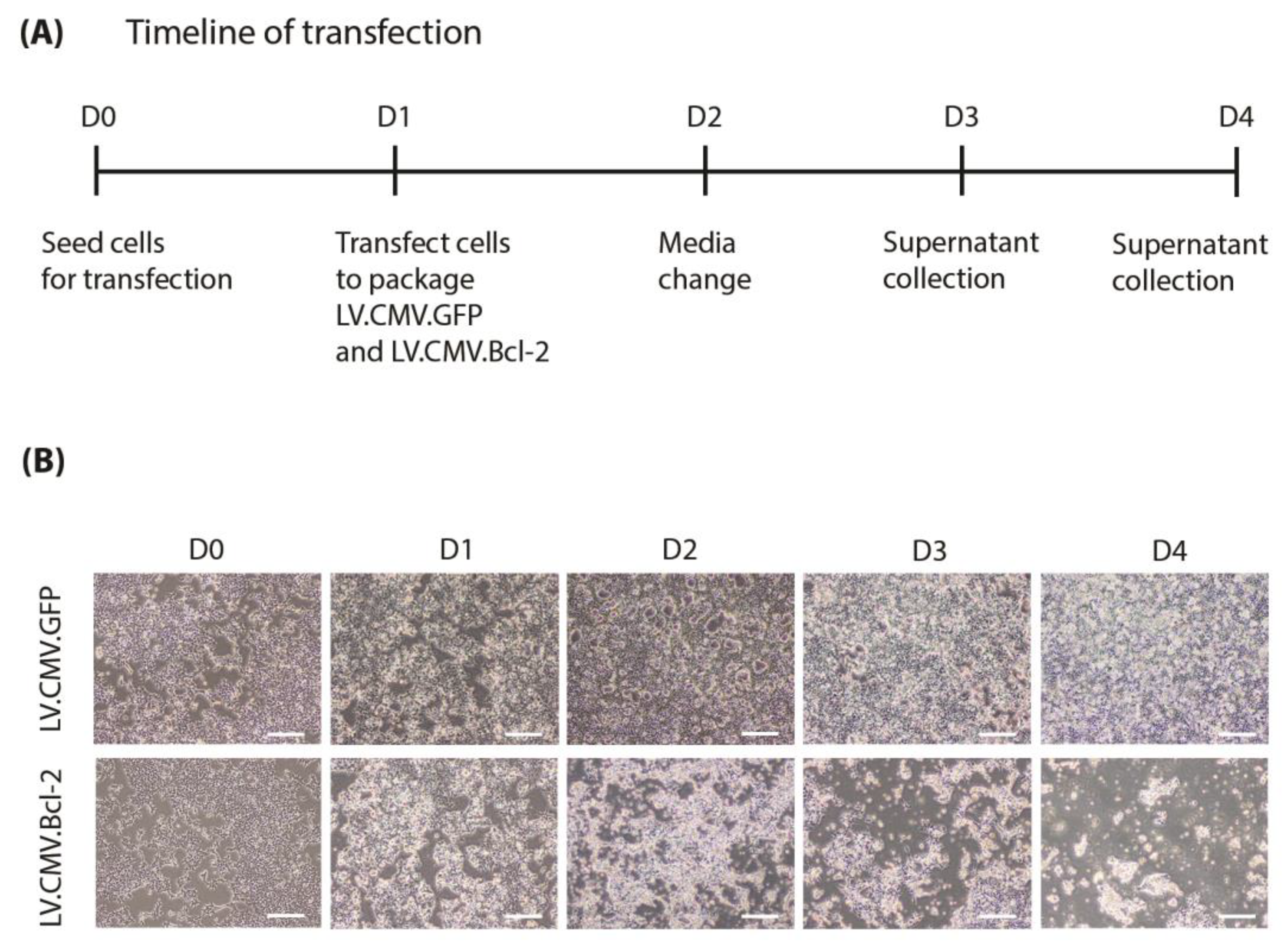 Biomolecules 13 01397 g001