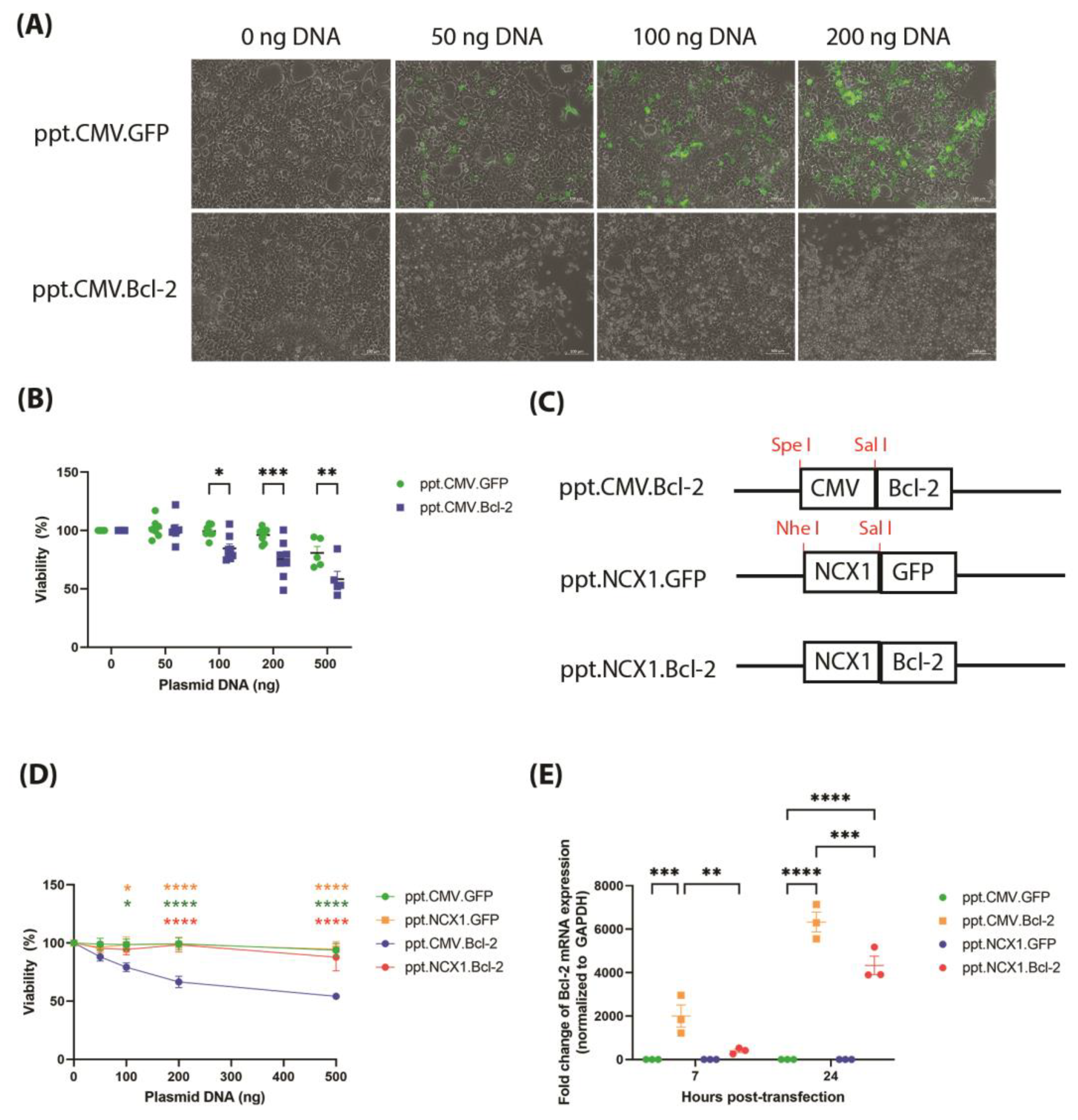 Biomolecules 13 01397 g002