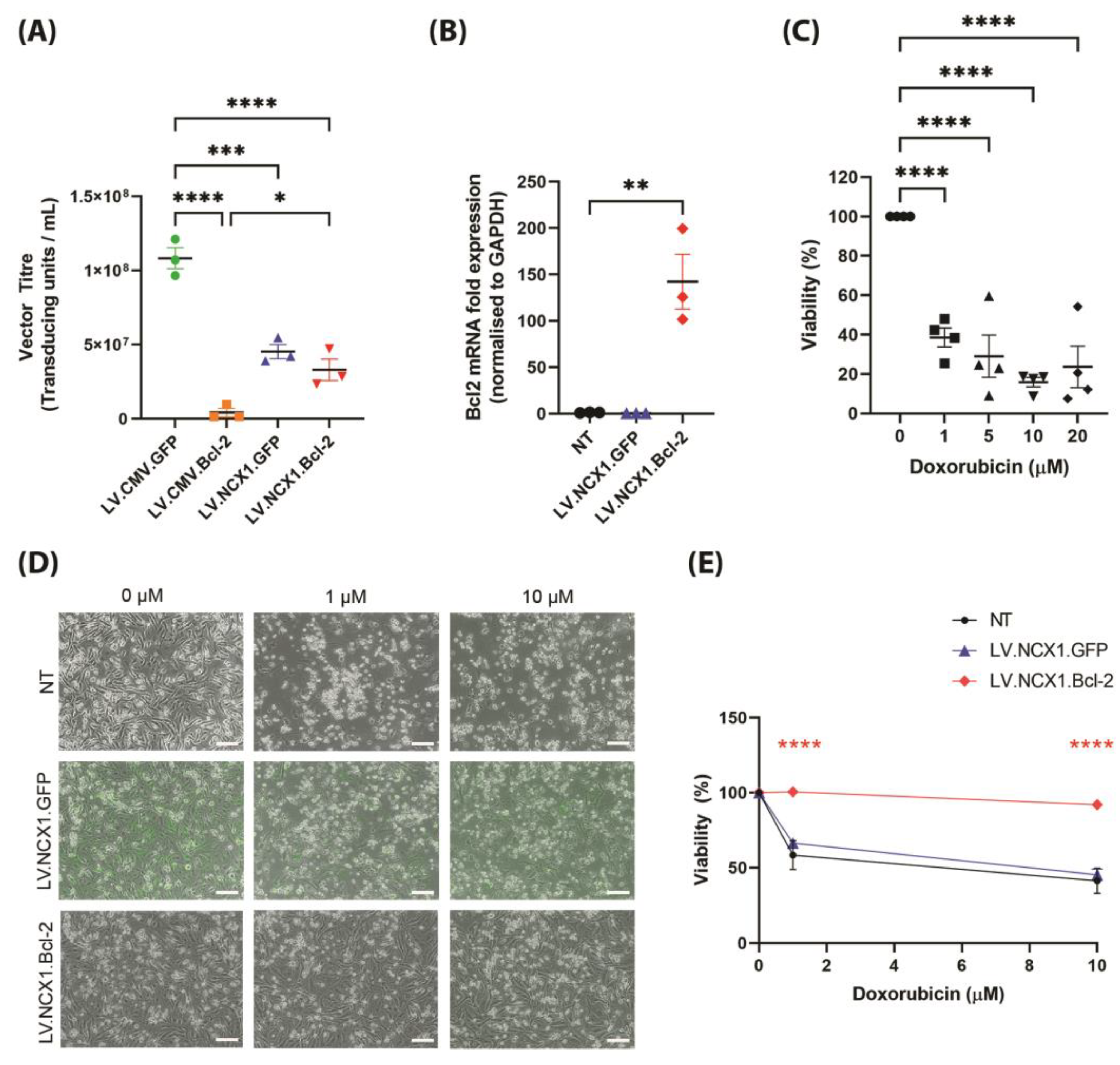 Biomolecules 13 01397 g003