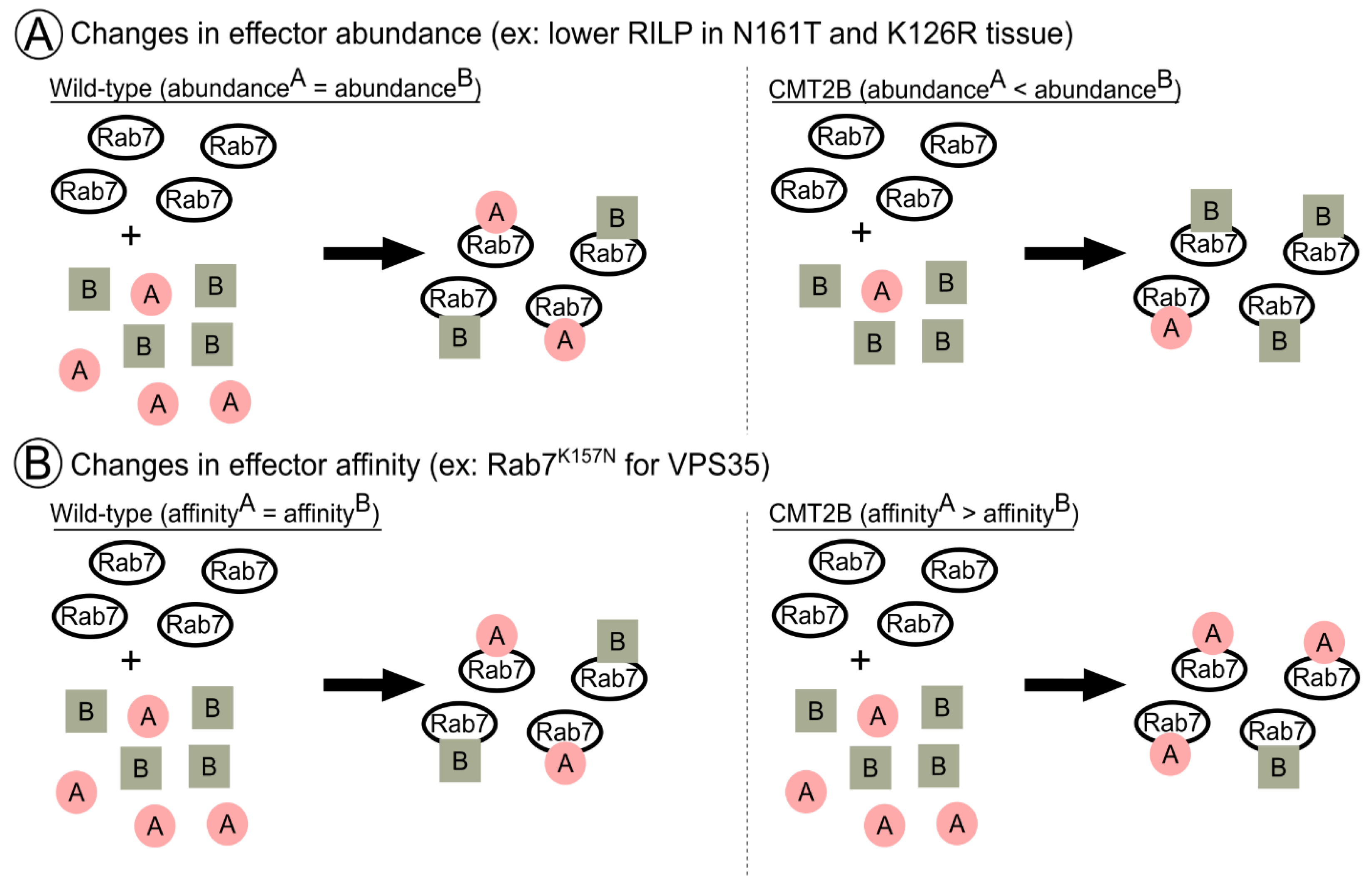 Biomolecules 13 01399 g004