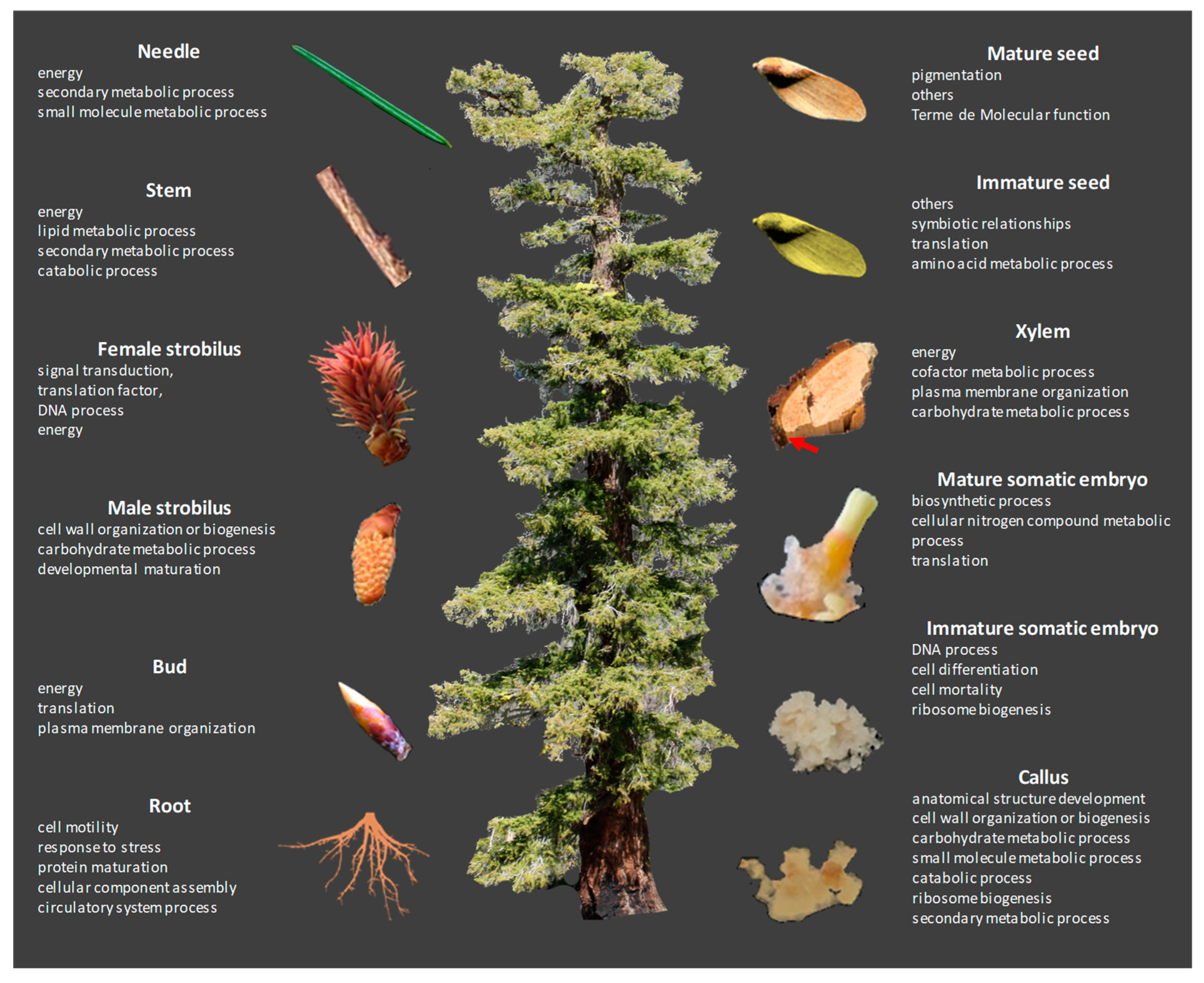 Biomolecules 13 01400 g003