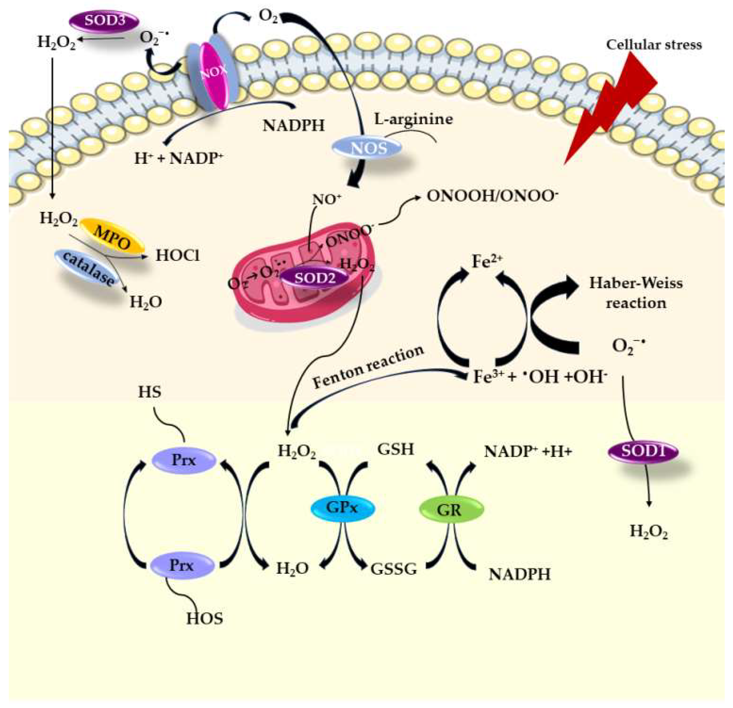Biomolecules 13 01402 g001