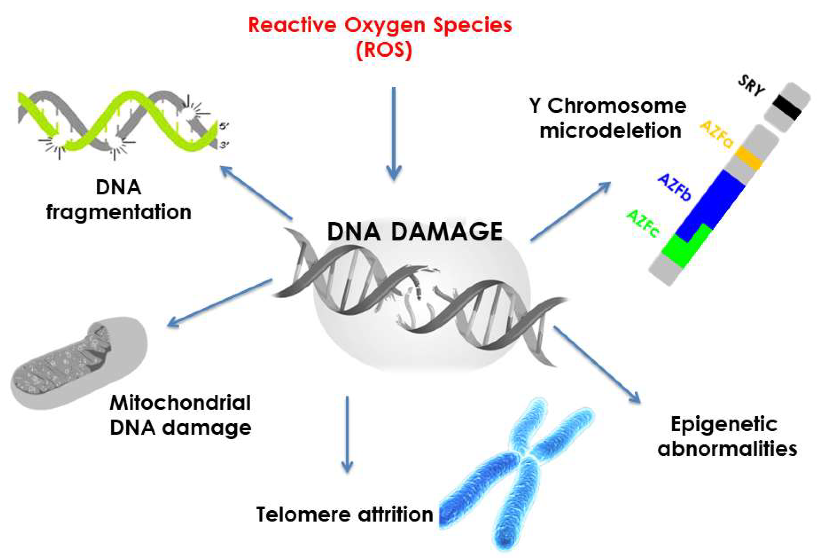 Biomolecules 13 01402 g002