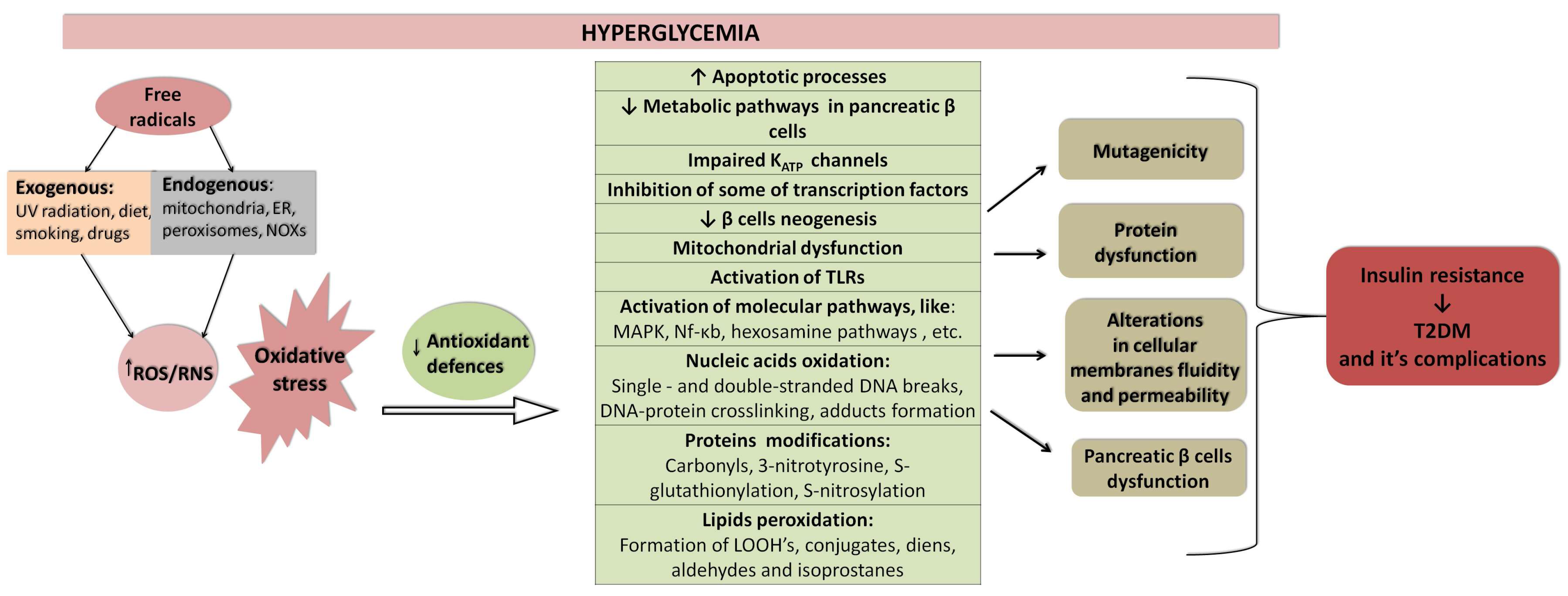 Biomolecules 13 01402 g004