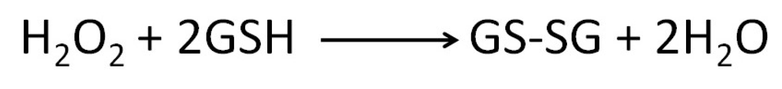 Biomolecules 13 01402 g005