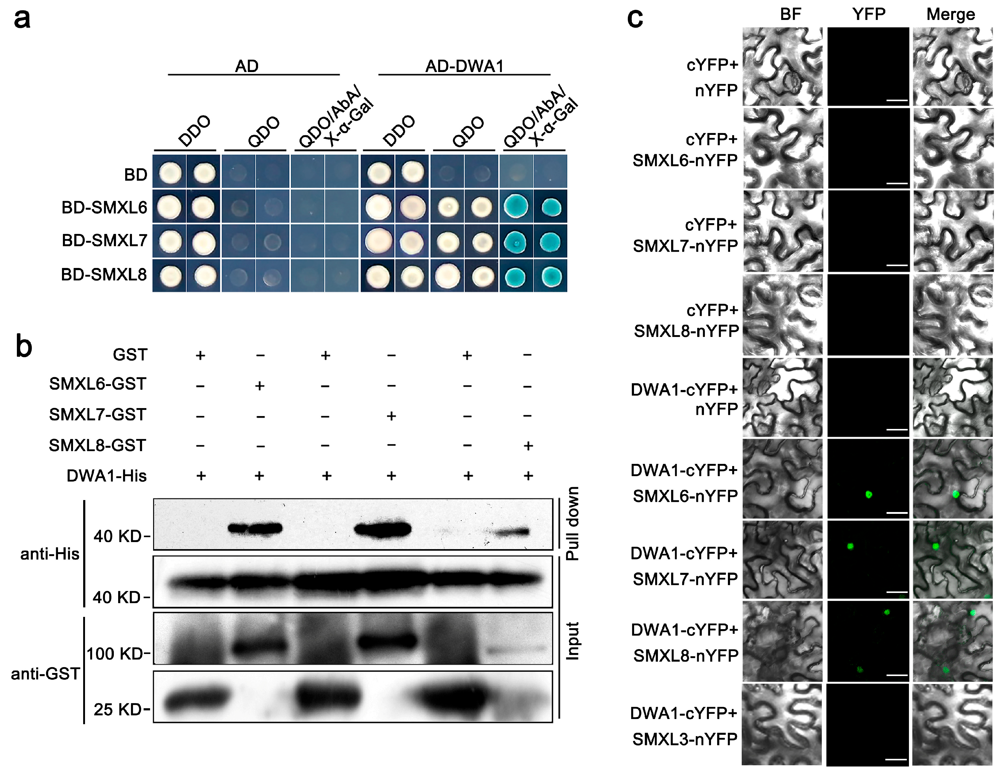Biomolecules 13 01406 g001