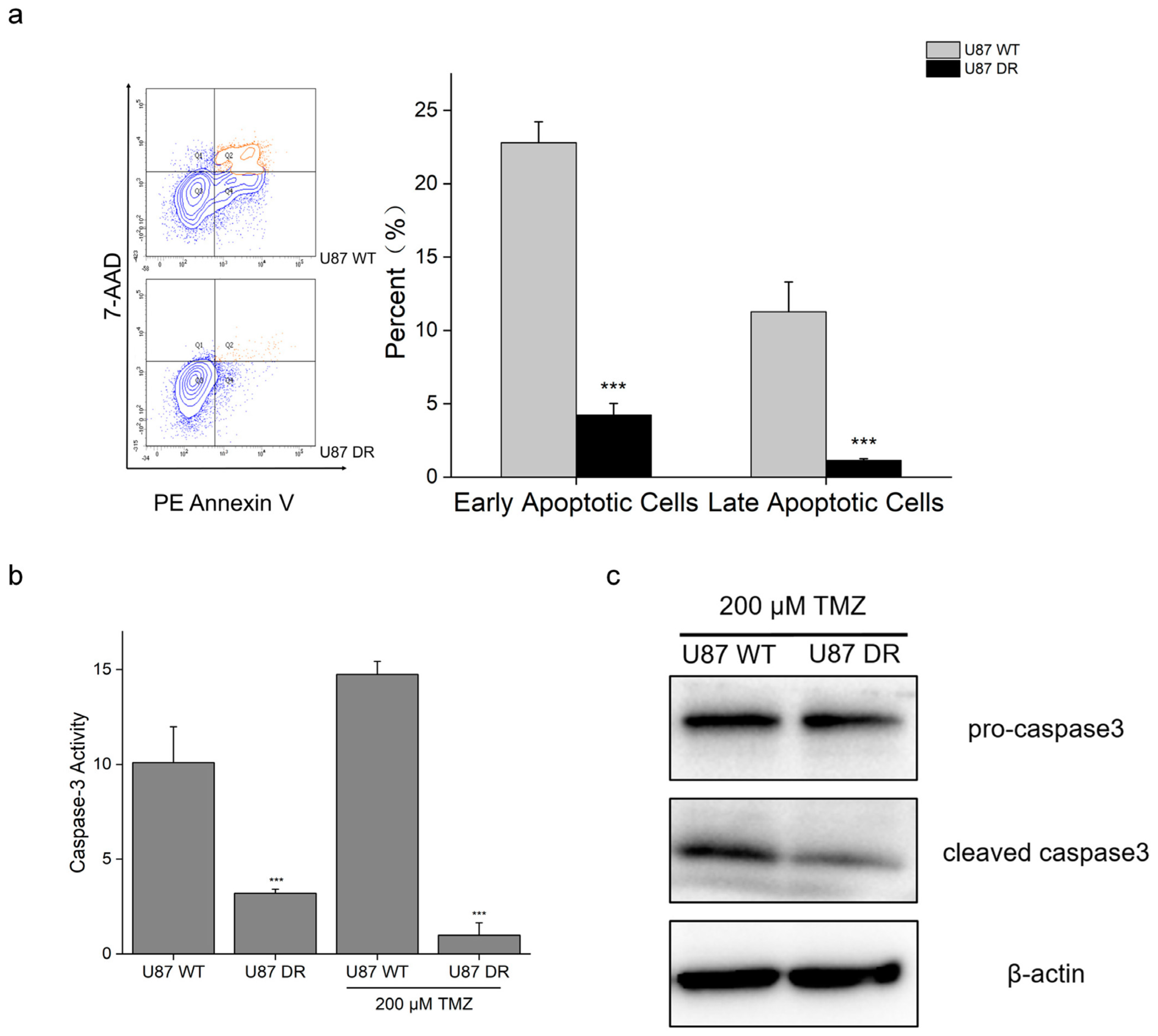 Biomolecules 13 01408 g002