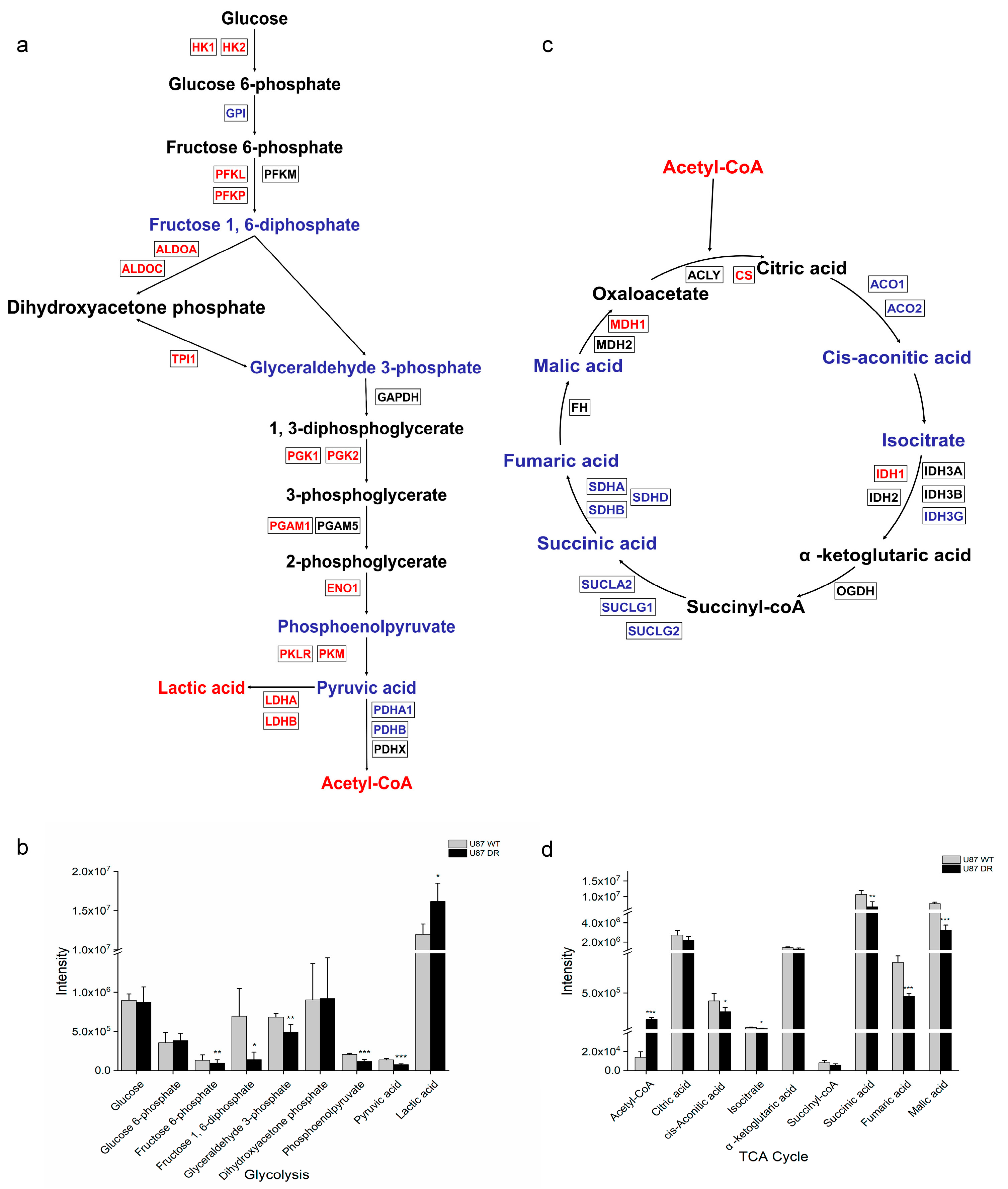 Biomolecules 13 01408 g004