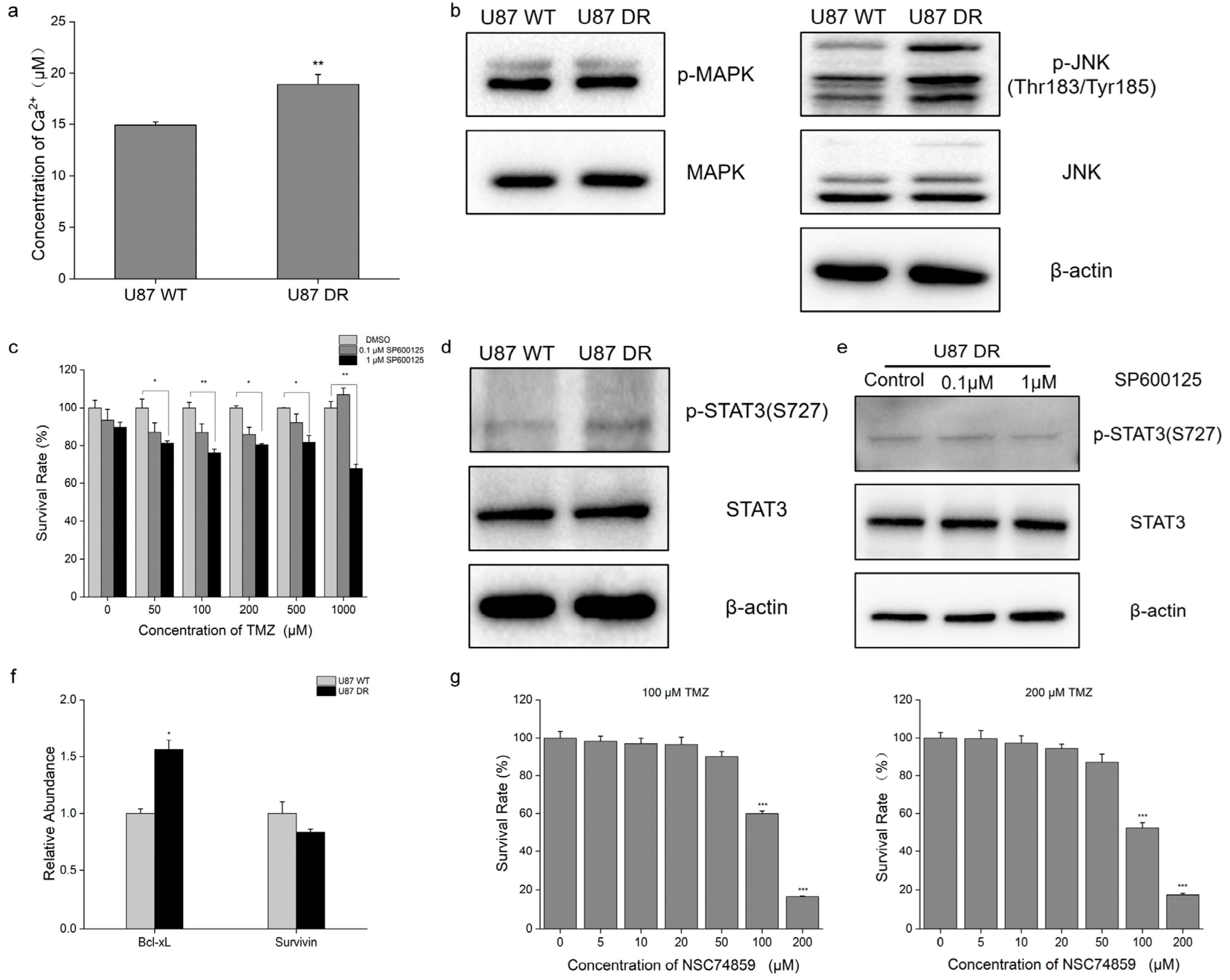 Biomolecules 13 01408 g006