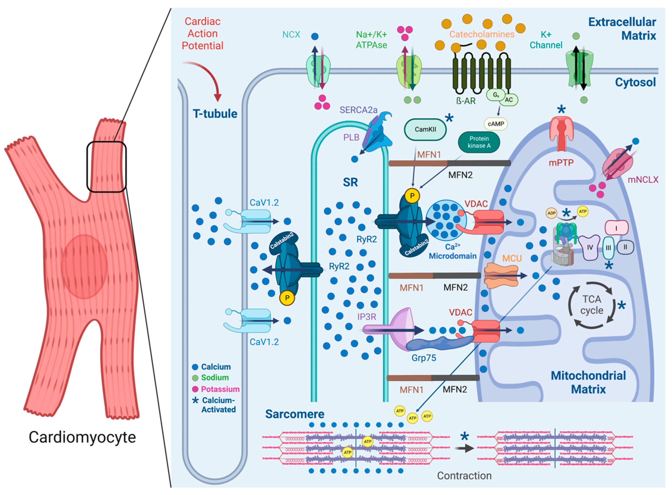 Biomolecules 13 01409 g001 Biomolecules 13 01409 g001