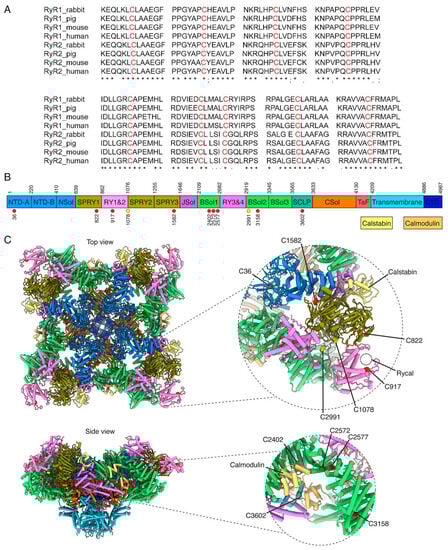 Biomolecules 13 01409 g002