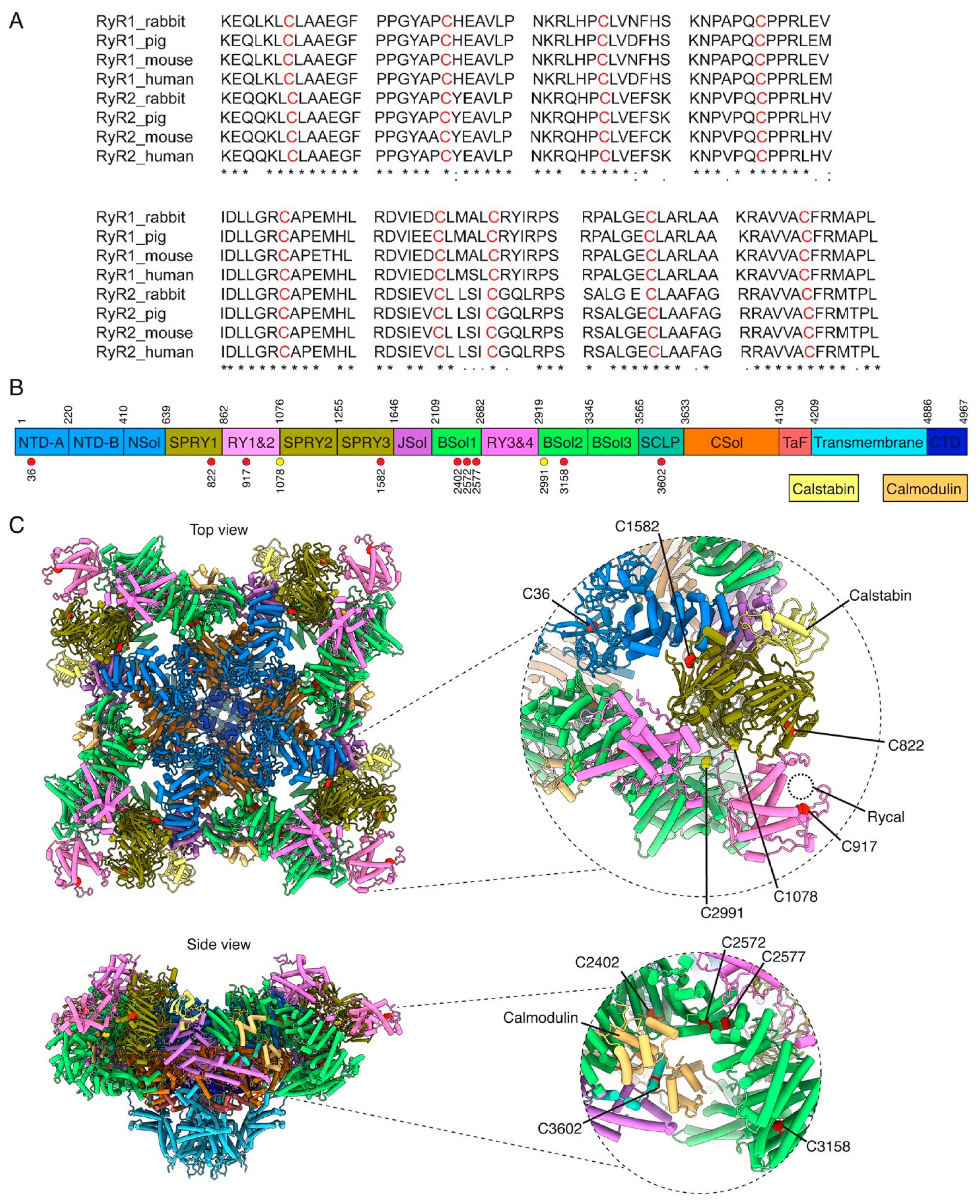 Biomolecules 13 01409 g002 Biomolecules 13 01409 g002